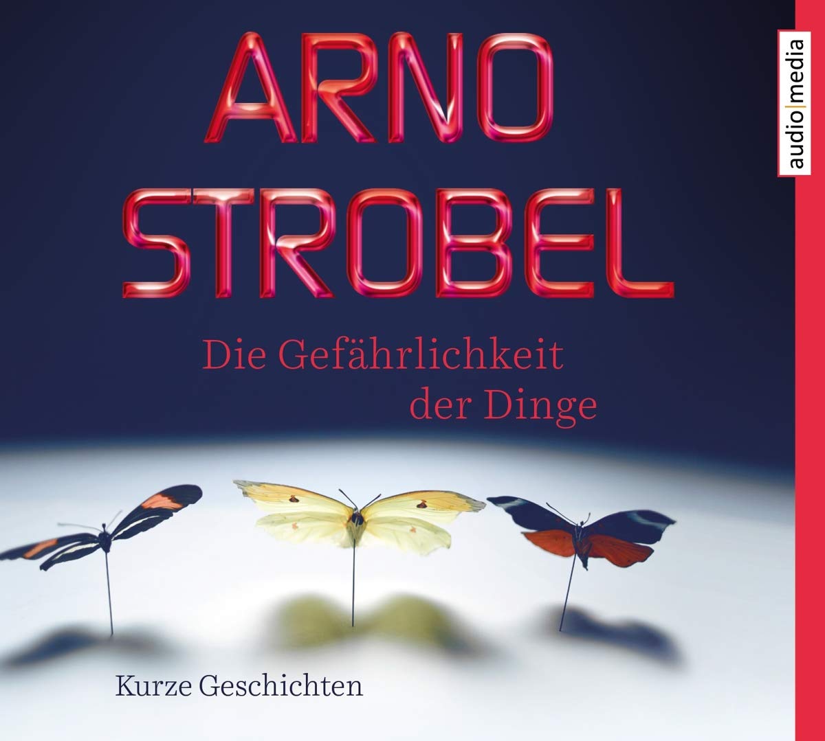 Die Gefährlichkeit der Dinge Contemporary literature Books