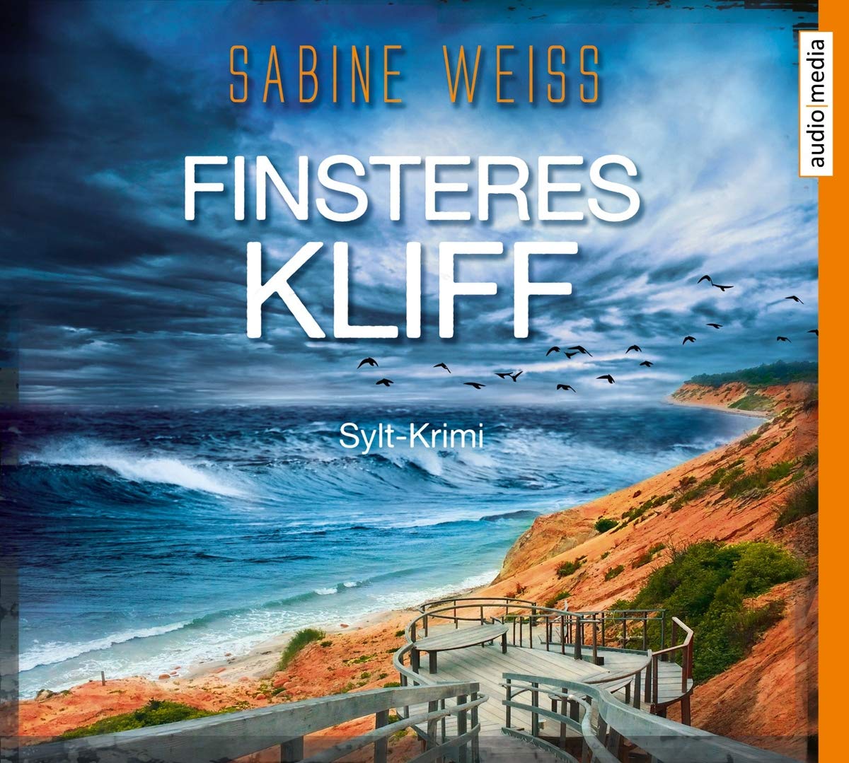 Finsteres Kliff-Sylt Krimi Books