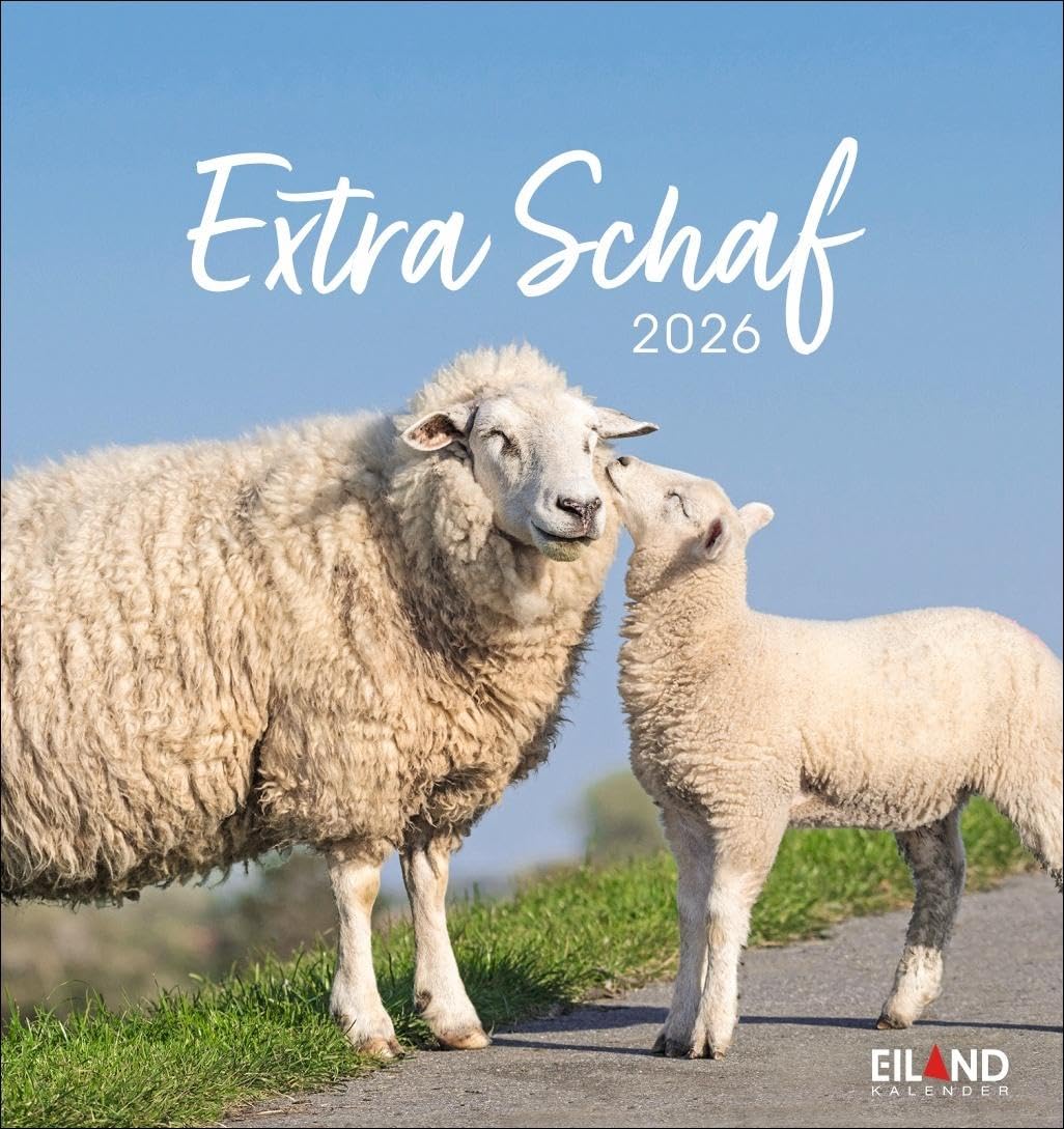 Extra Schaf Postkartenkalender 2026: Ein kleiner Kalender zum Aufstellen und Aufhängen. Süße Schafe in allen Lebenslagen in einem Postkarten-Fotokalender. (Postkartenkalender Eiland) Leisure, Home & Garden