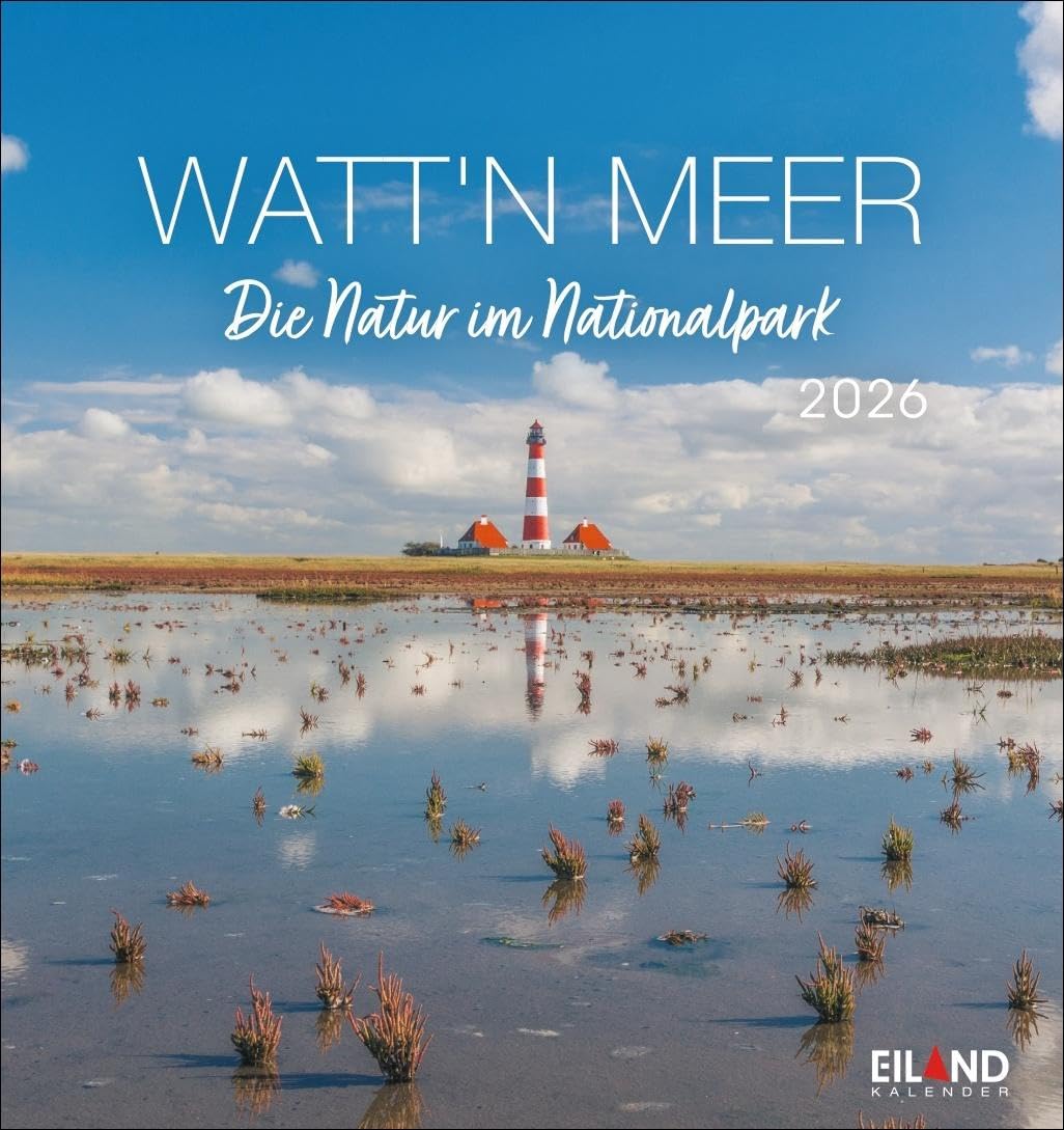 Watt'n Meer Postkartenkalender 2026 - Die Natur im Nationalpark: Der Nationalpark Wattenmeer in einem Fotokalender im Postkartenformat. Kleiner ... 12 Postkarten. (Postkartenkalender Eiland) Leisure, Home & Garden