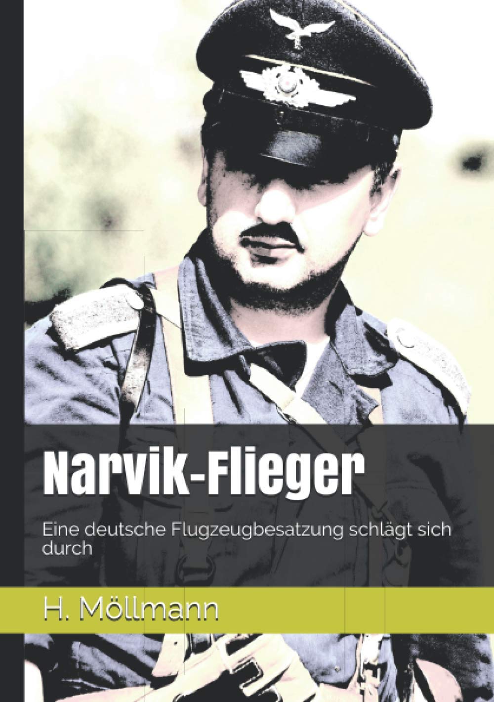 Narvik-Flieger: Eine deutsche Flugzeugbesatzung schlägt sich durch (Die Narvik-Chroniken - Geschichten aus der Schlacht um Narvik 1940) book