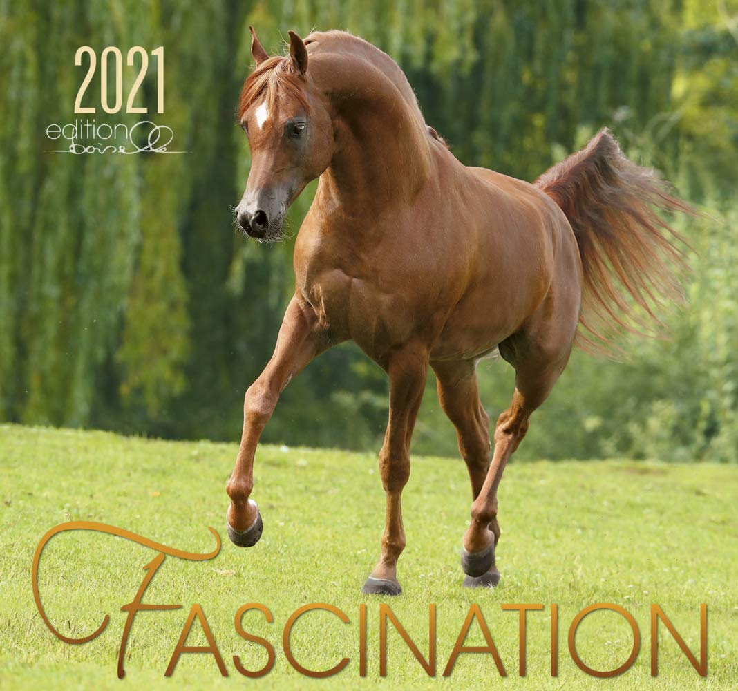 Fascination 2021: Arabische Pferde Leisure, Home & Garden