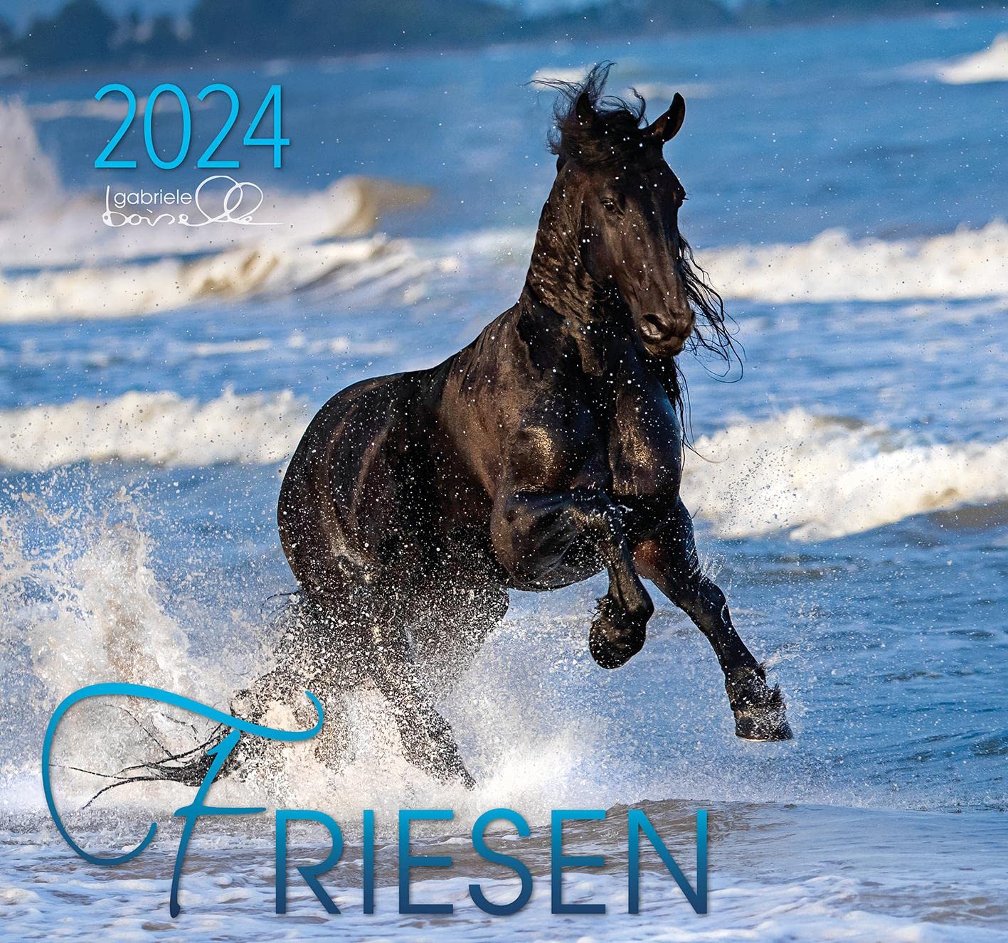 Friesen 2024: Friesen Pferde Photography