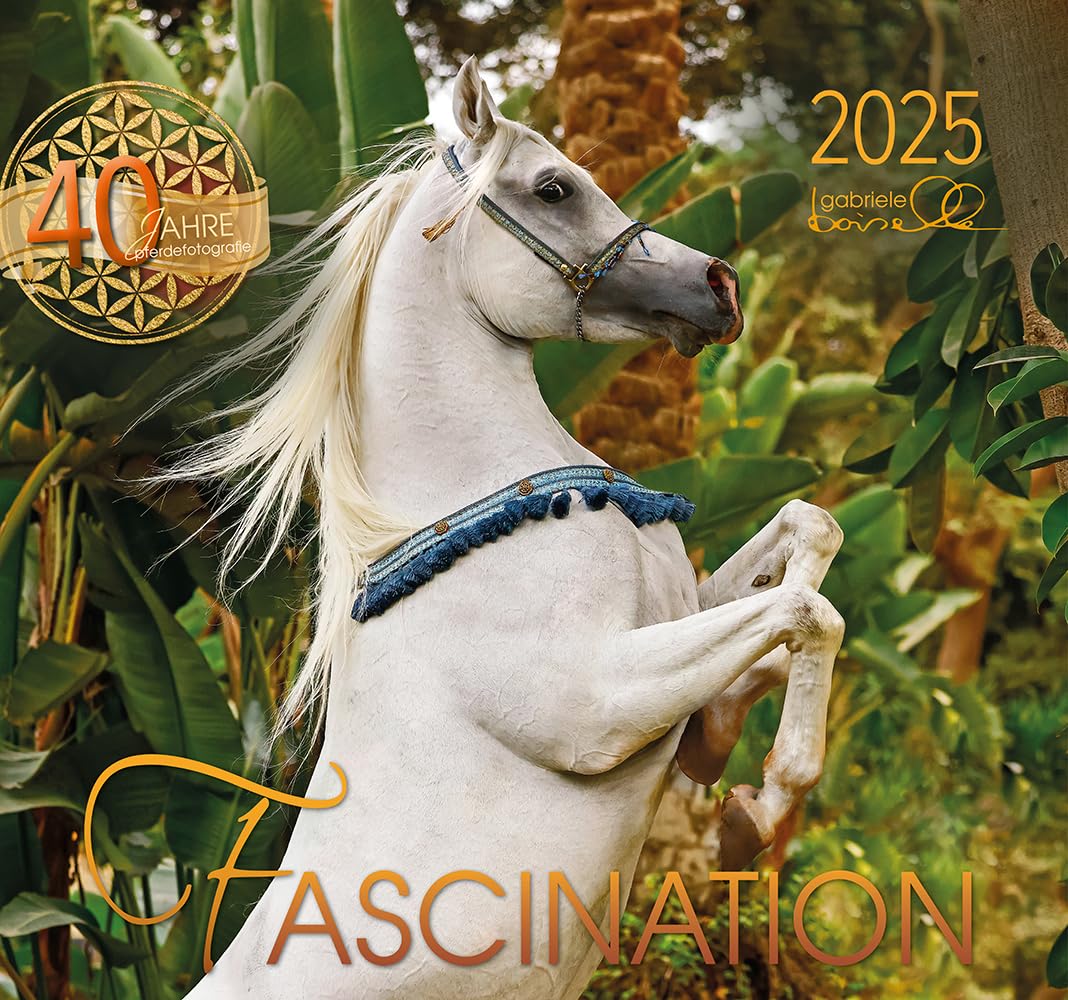 Fascination 2025: Arabische Pferde Photography
