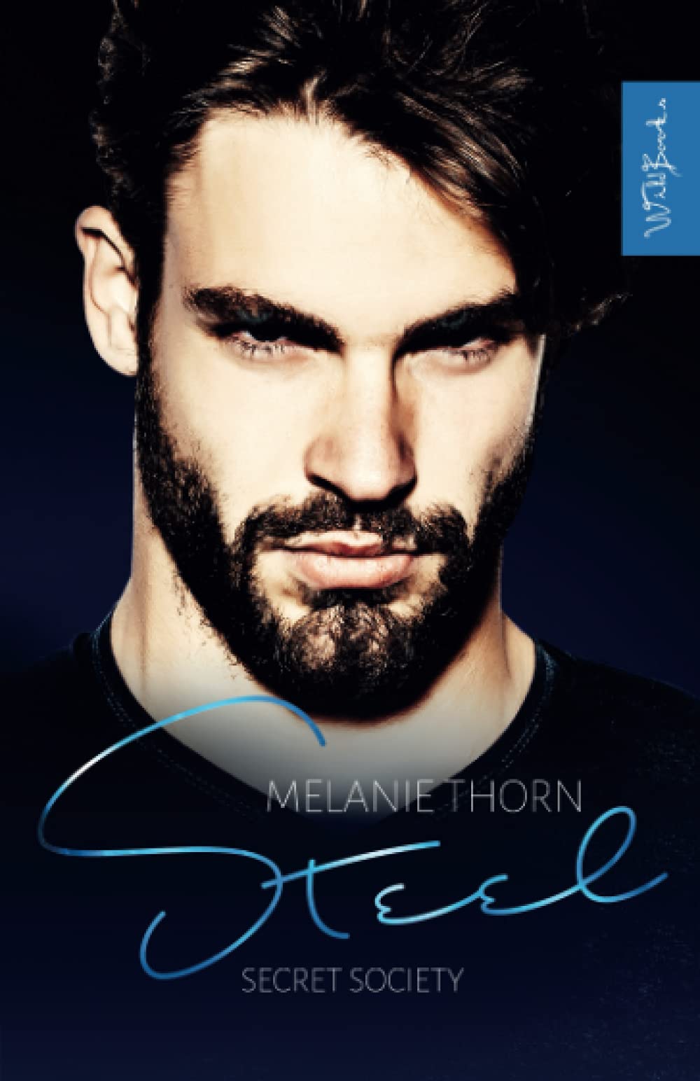 Steel: Secret Society Band 4 book