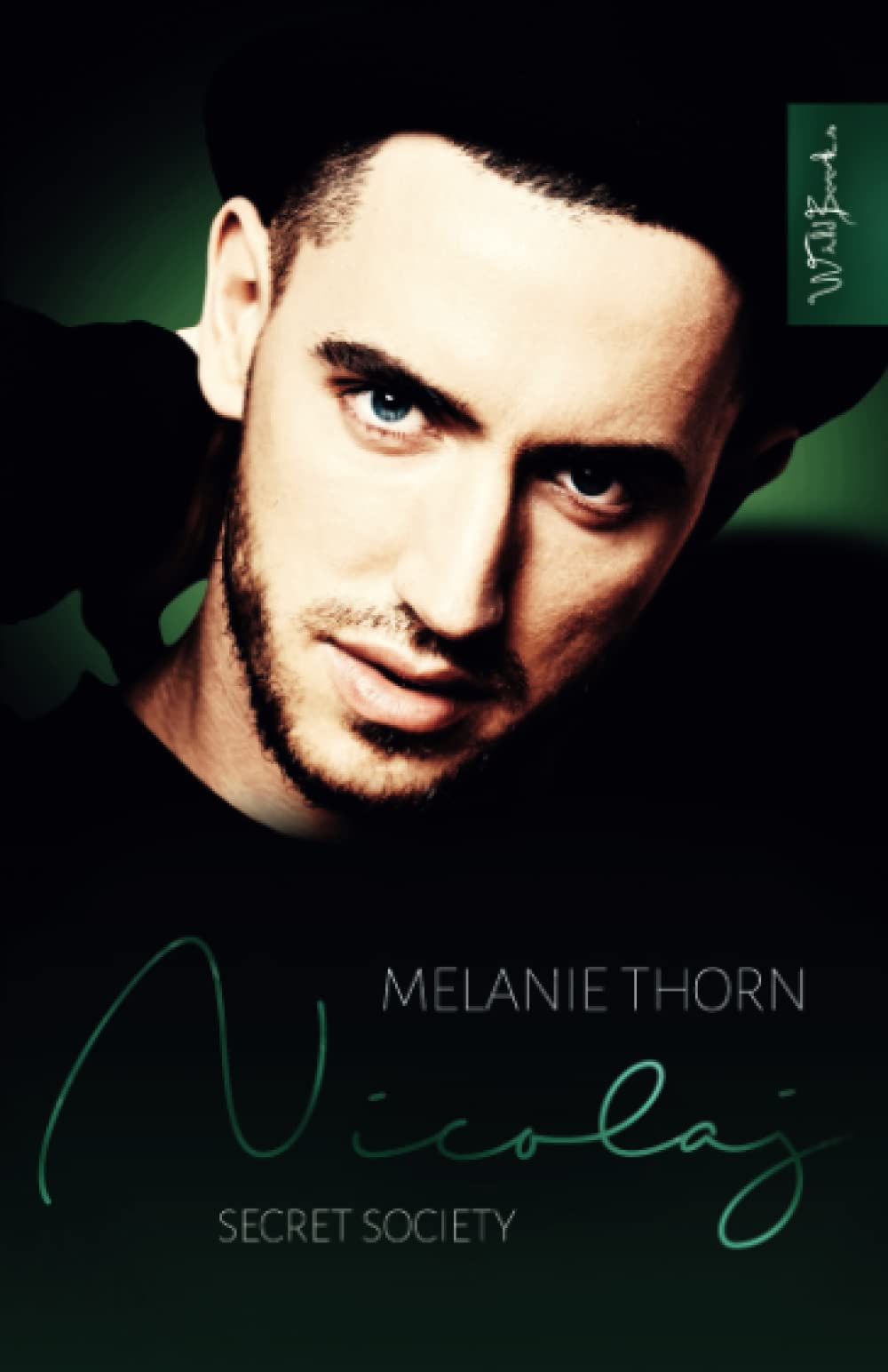 Nicolaj: Secret Society Band 6 Romantic Thrillers