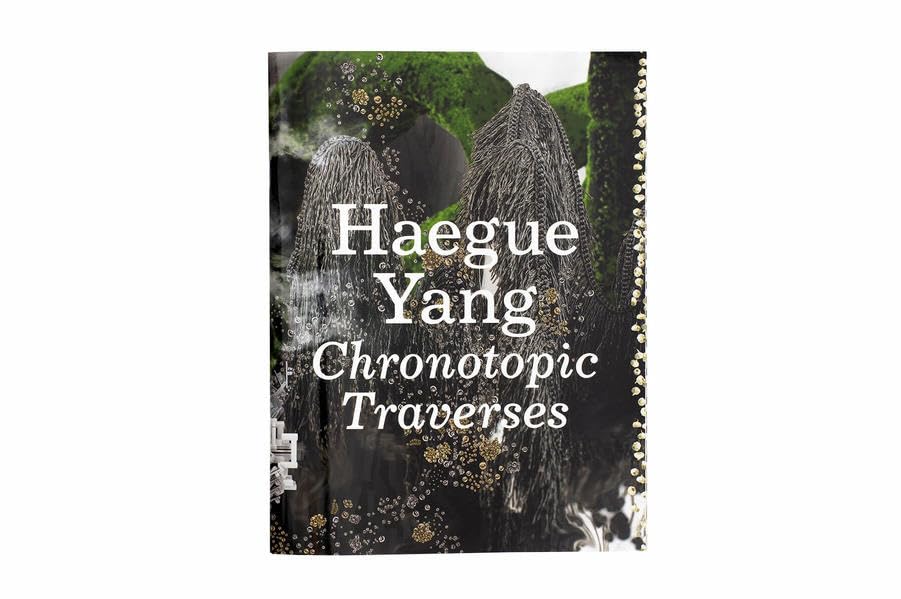 Haegue Yang: Chronotopic Traverses / Traversée Chronotopique Books