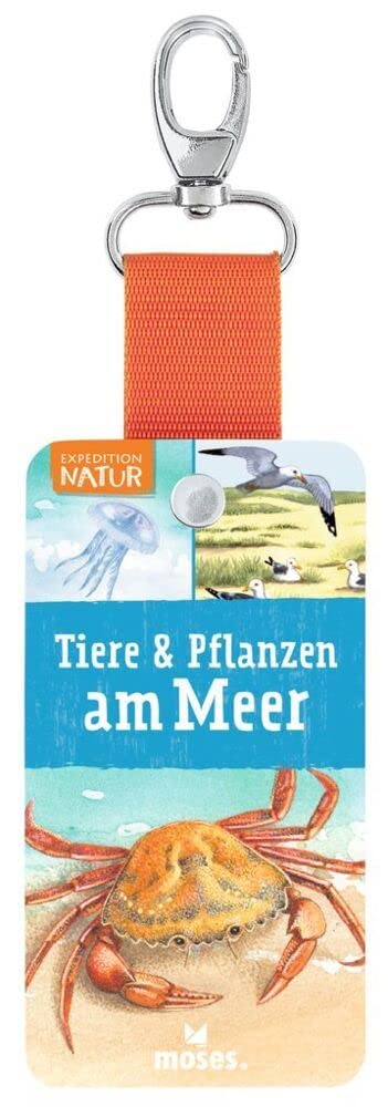 Expedition Natur - Fächer Tiere & Pflanzen am Meer Non-fiction