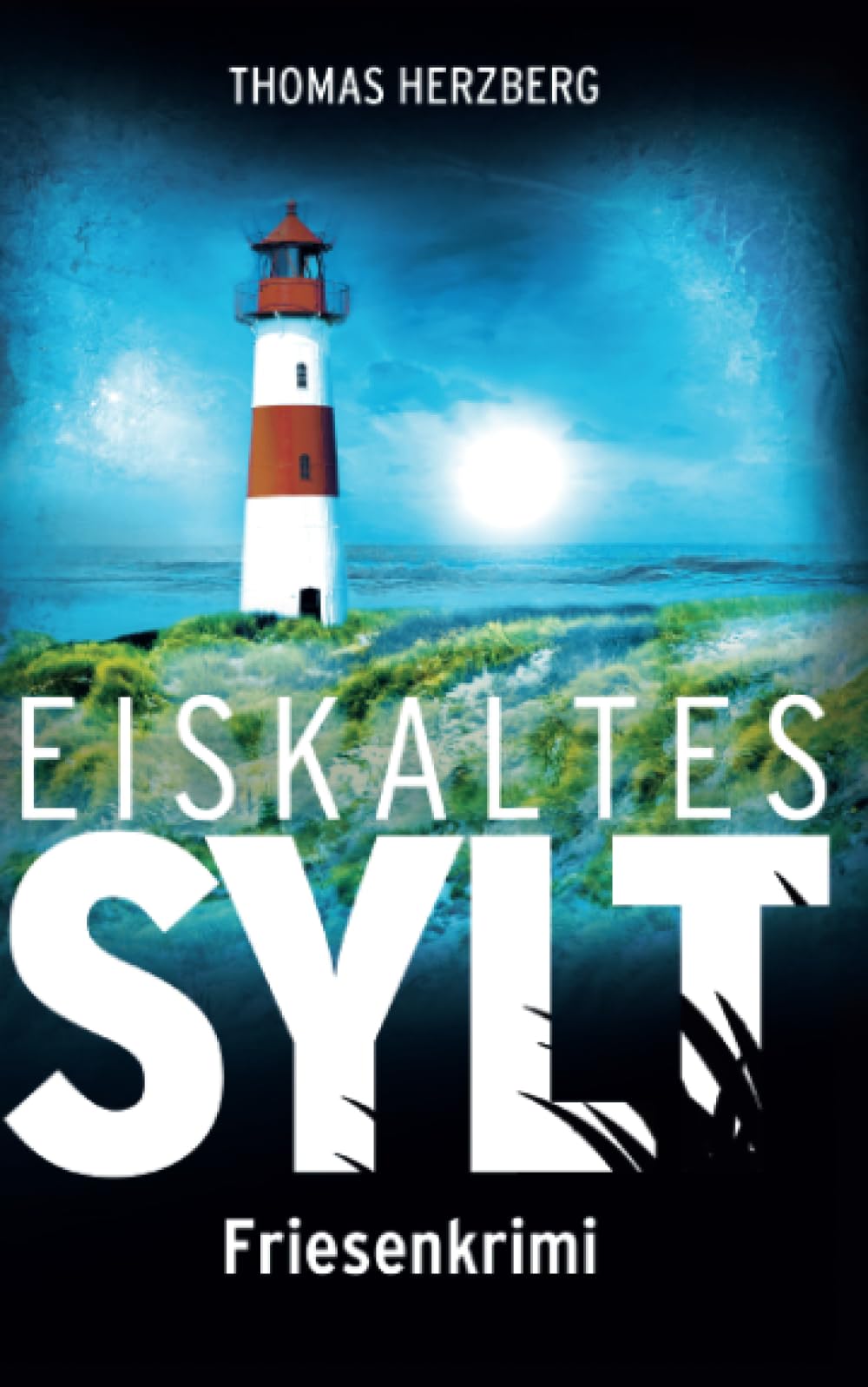 Eiskaltes Sylt Contemporary literature Books