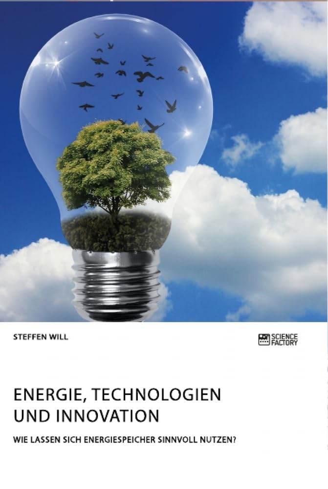 Energie, Technologien und Innovation. Wie lassen sich Energiespeicher sinnvoll nutzen? Law