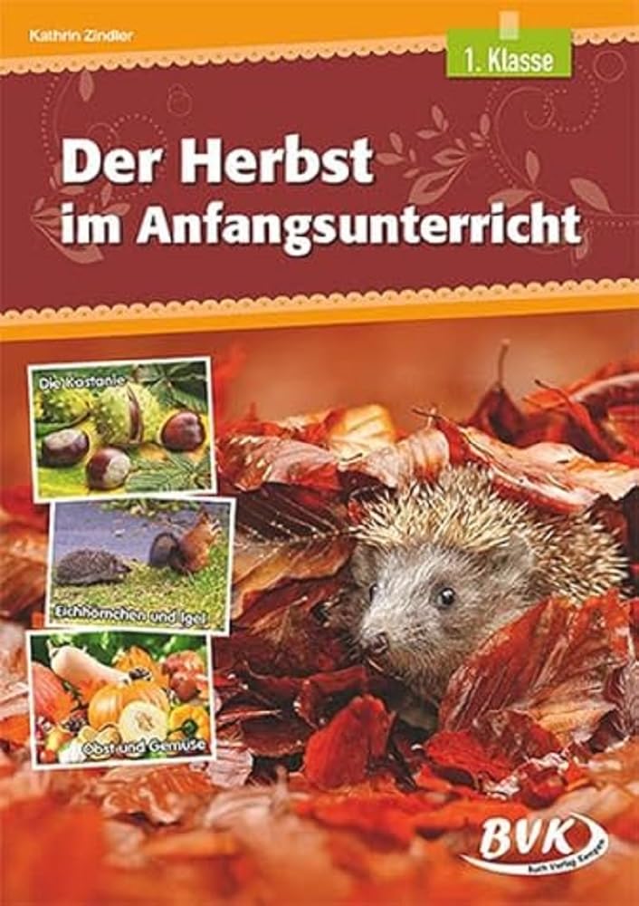 Der Herbst im Anfangsunterricht: 1. Klasse Professional & Reference Books
