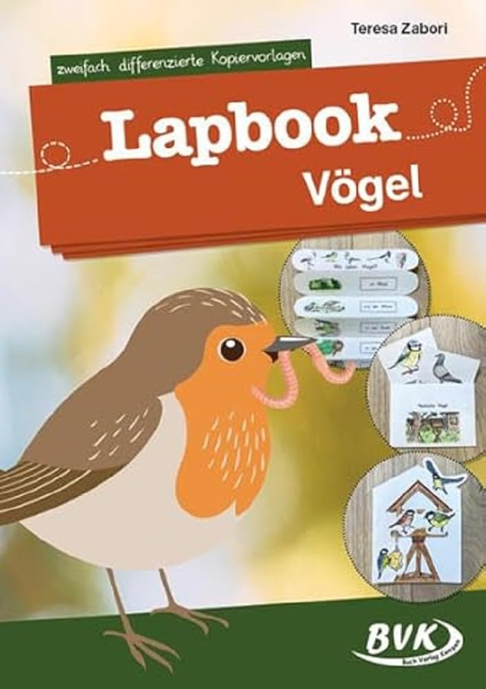 Product Image: Lapbook Vögel
