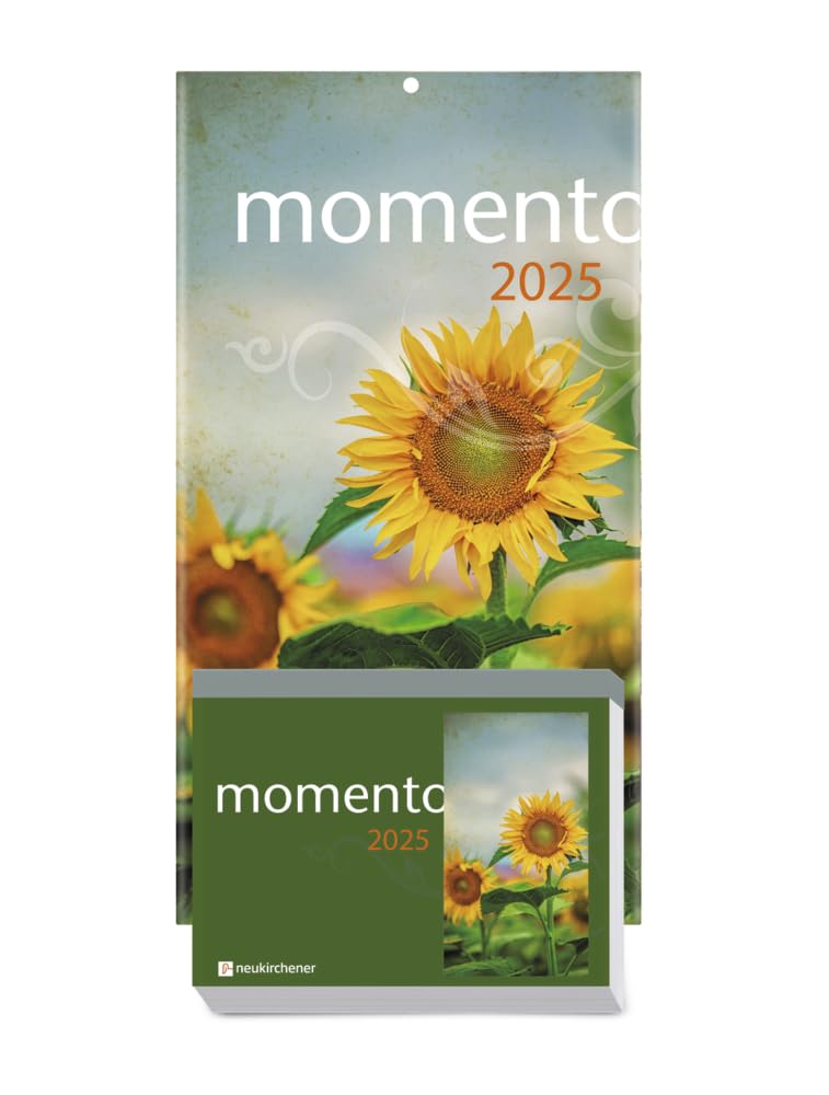 momento 2025 - Abreißkalender mit Rückwand und Aufstellfuß book
