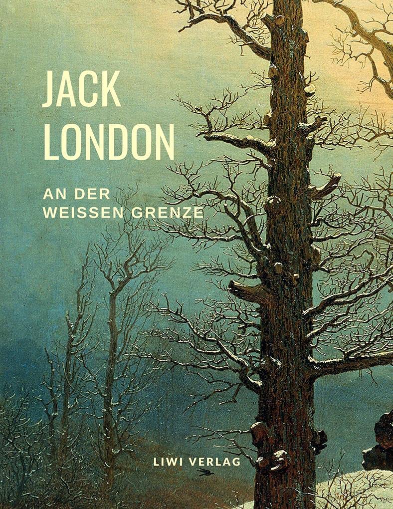 An der weißen Grenze: Roman Contemporary literature