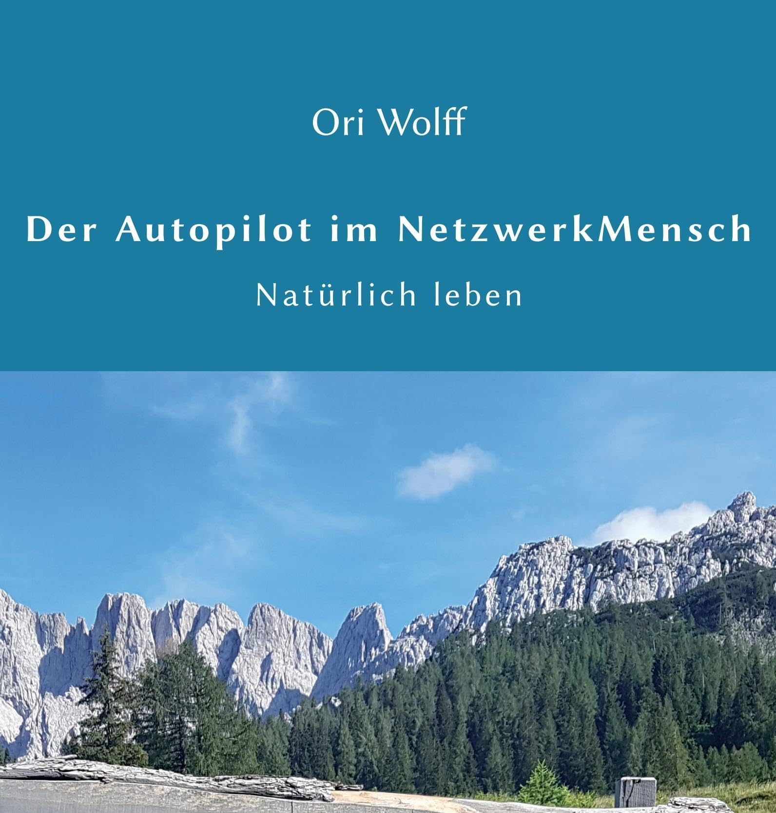 Der Autopilot im Netzwerk Mensch Medicine