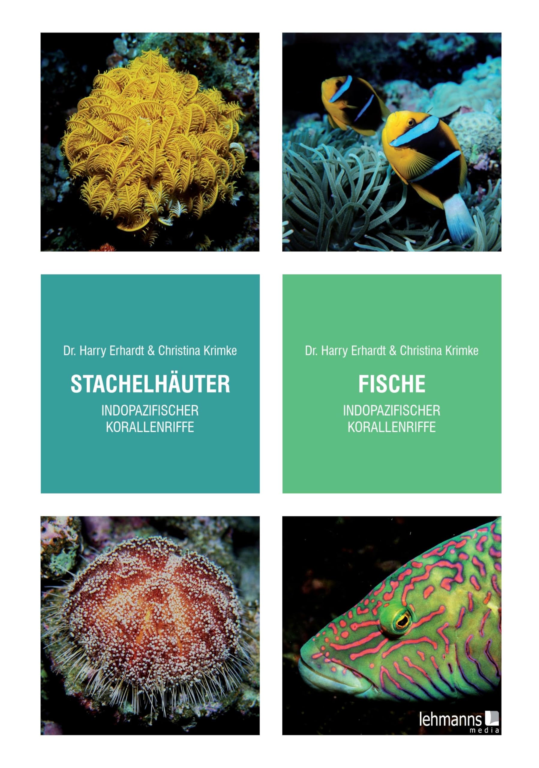 Stachelhäuter/Fische indopazifischer Korallenriffe Geology & Geography