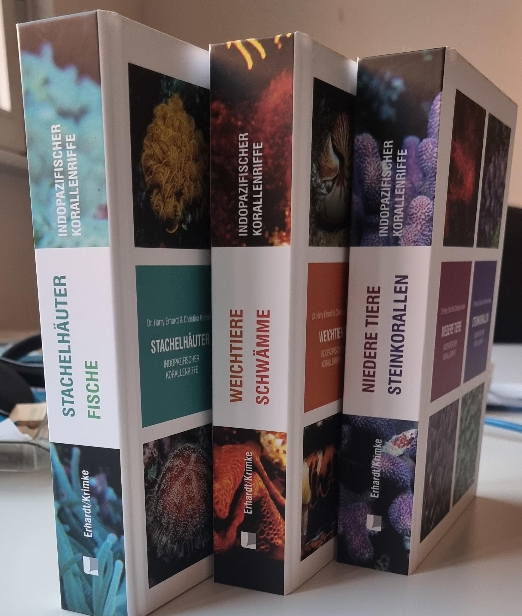 Steinkorallen/Niedere Tiere/Weichtiere/Schwämme/Stachelhäuter/Fische indopazifischer Korallenriffe Geology & Geography