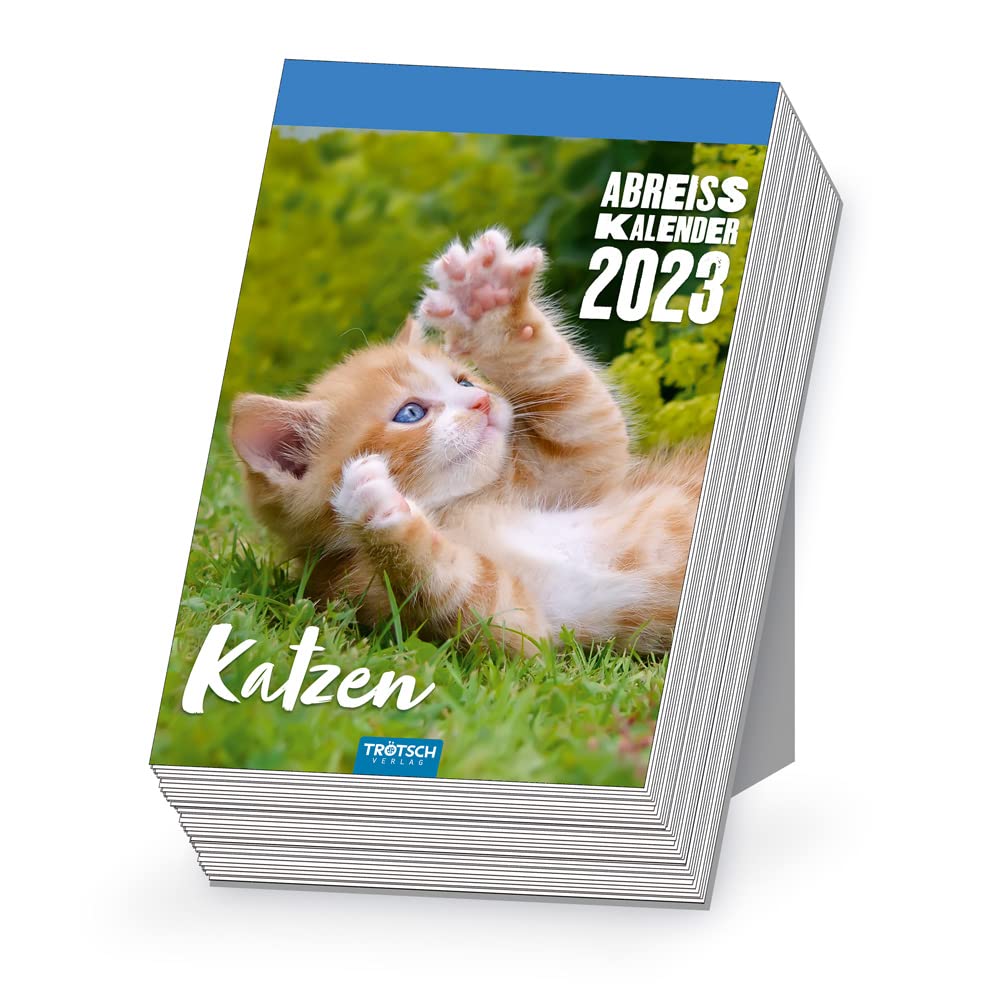 Trötsch Abreißkalender Katzen 2023: Aufstellkalender Tischkalender Abreißkalender Leisure, Home & Garden