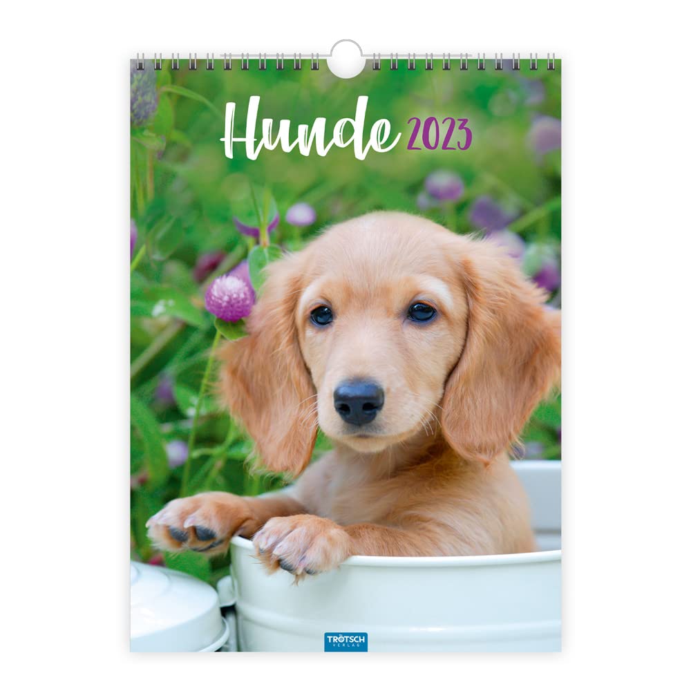 Trötsch Classickalender Hunde 2023: Wandkalender Leisure, Home & Garden