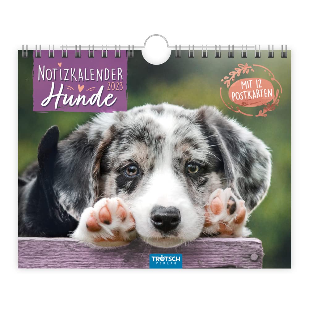 Trötsch Notizkalender Querformat Notizkalender Hunde 2023: Wandkalender Leisure, Home & Garden