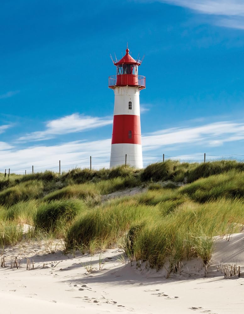Lighthouse Sylt Second-hand books on film, art and culture