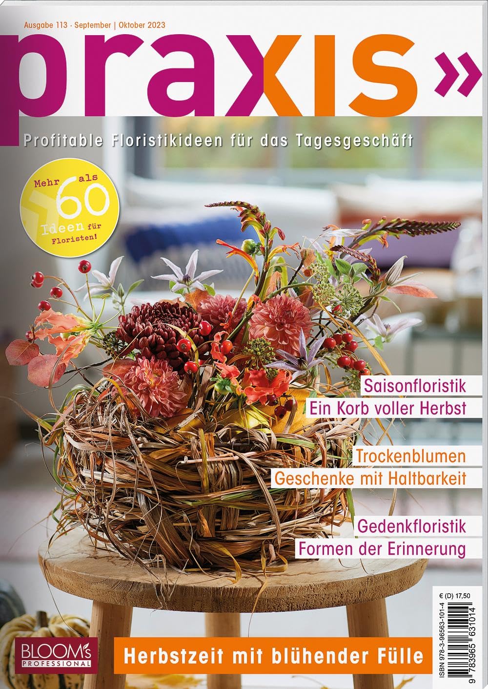 PRAXIS Nr. 113 Hobbies & Crafts