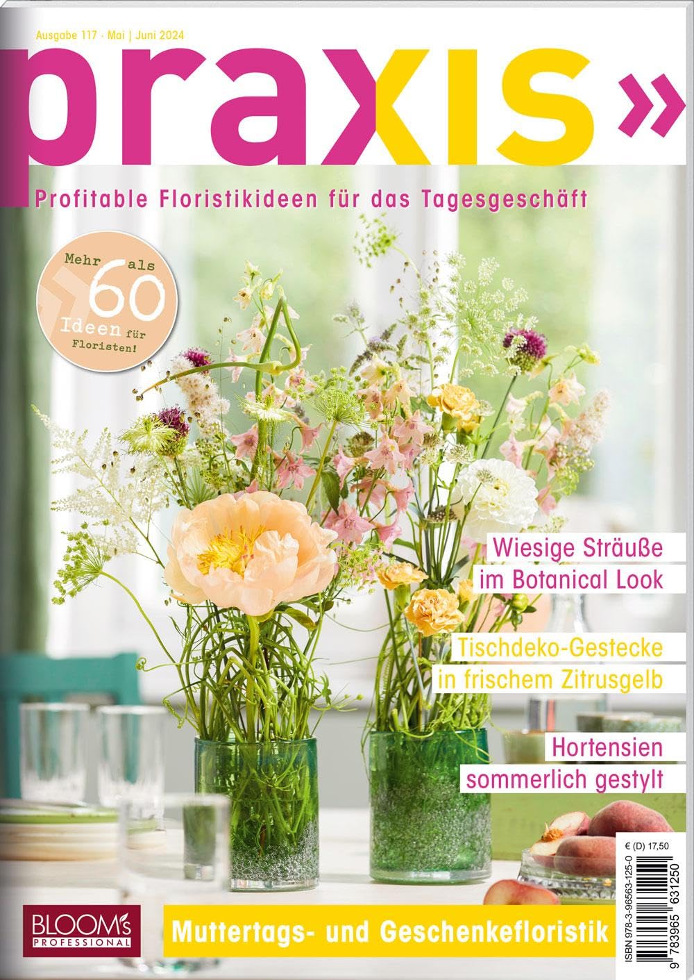PRAXIS Nr. 117 Hobbies & Crafts