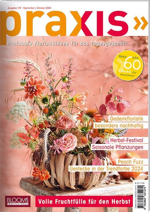PRAXIS Nr. 119 Hobbies & Crafts