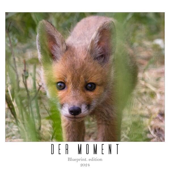 "der moment": wandkalender 2024 (29,5 x 29,5 cm) mit tierfotografien von rebecca plescher und andreas schachtschabel Photography