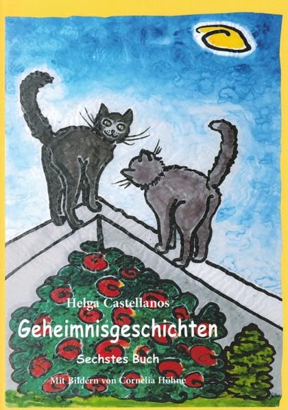 Geheimnisgeschichten: Sechstes Buch Children's books