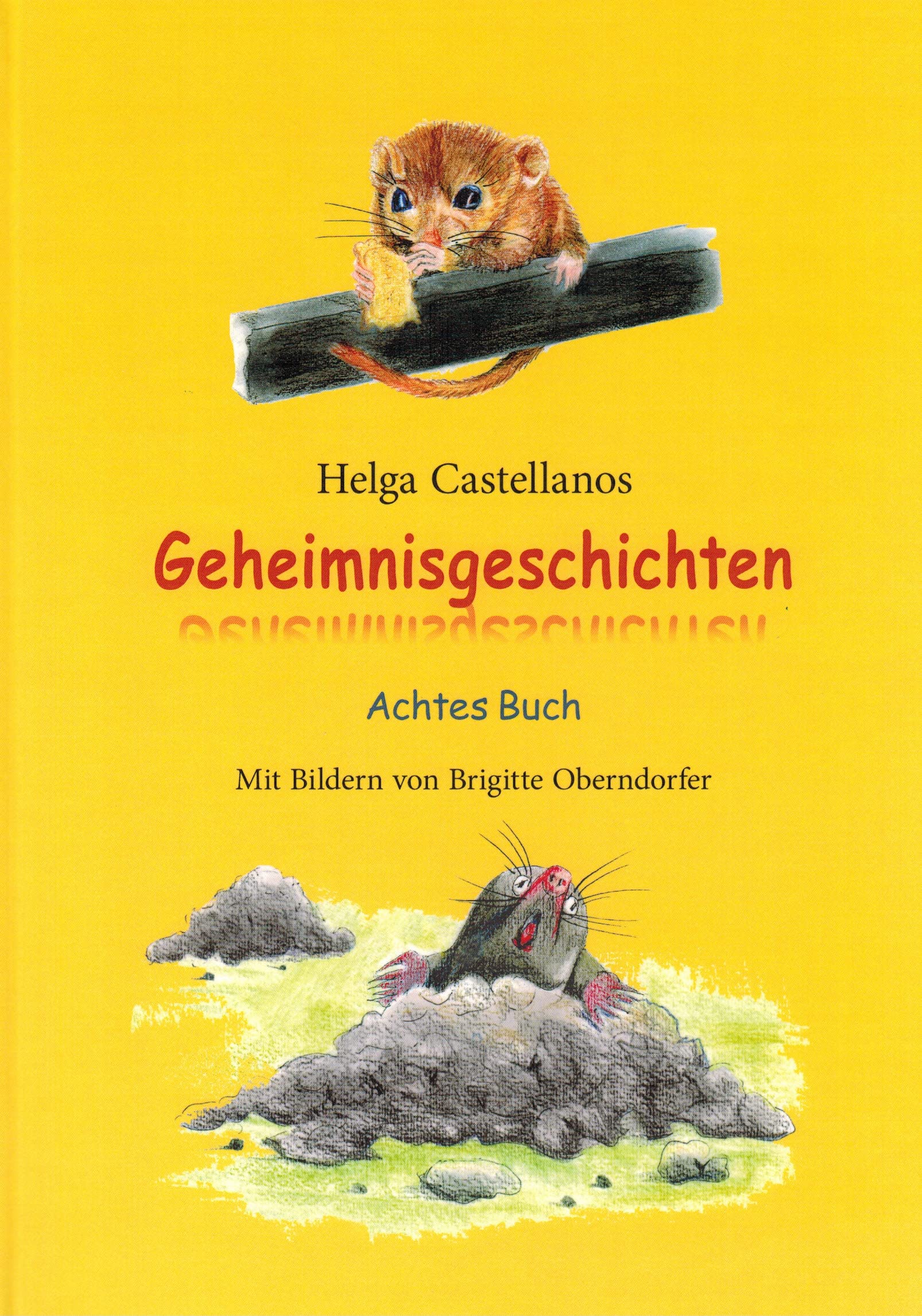 Geheimnisgeschichten Achtes Buch Books