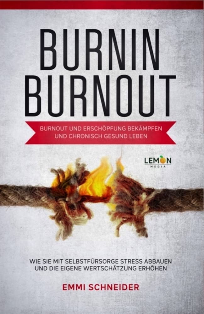 Product Image: BurnIn BurnOut