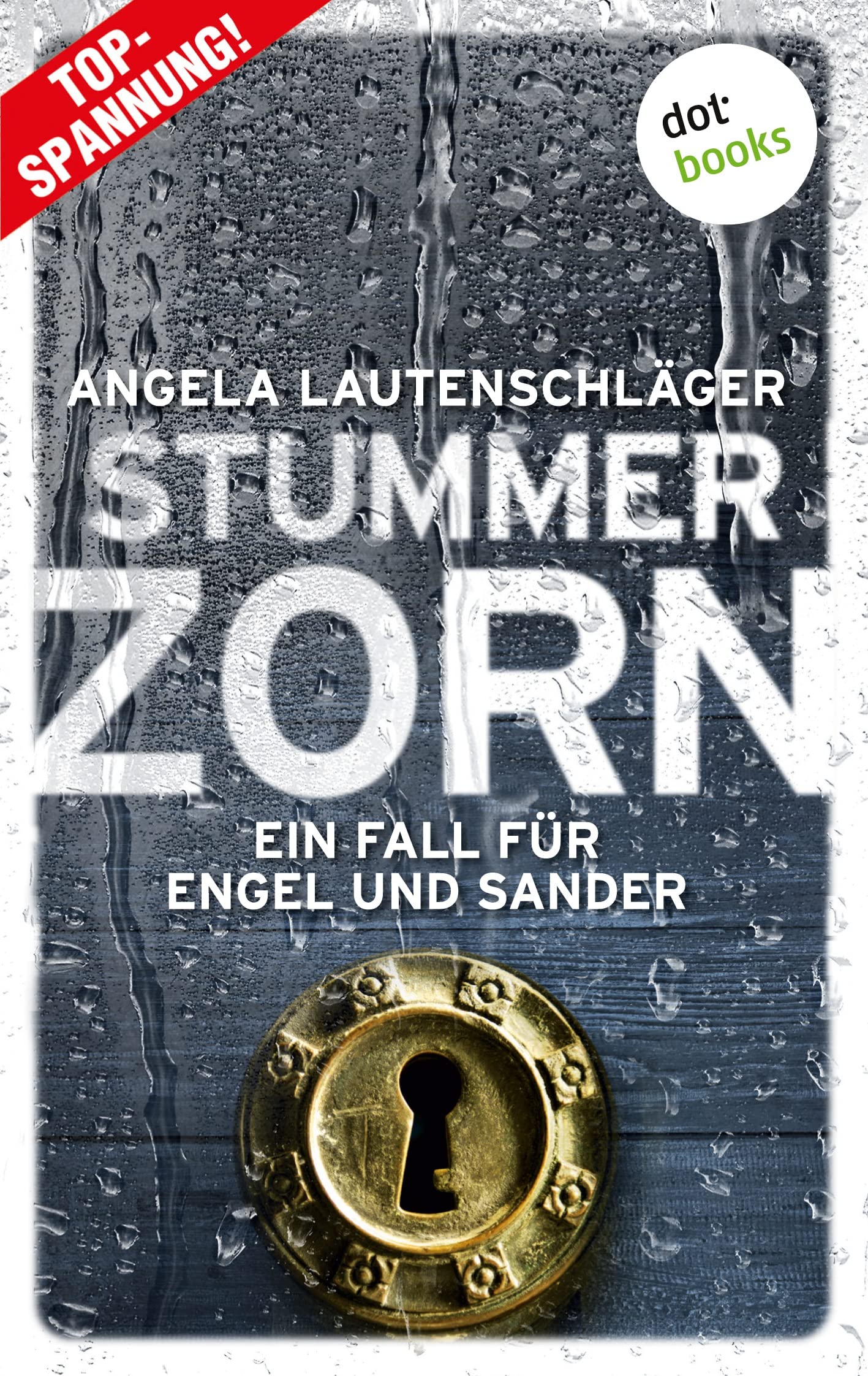 Stummer Zorn - Ein Fall für Engel und Sander 7 Contemporary literature Books
