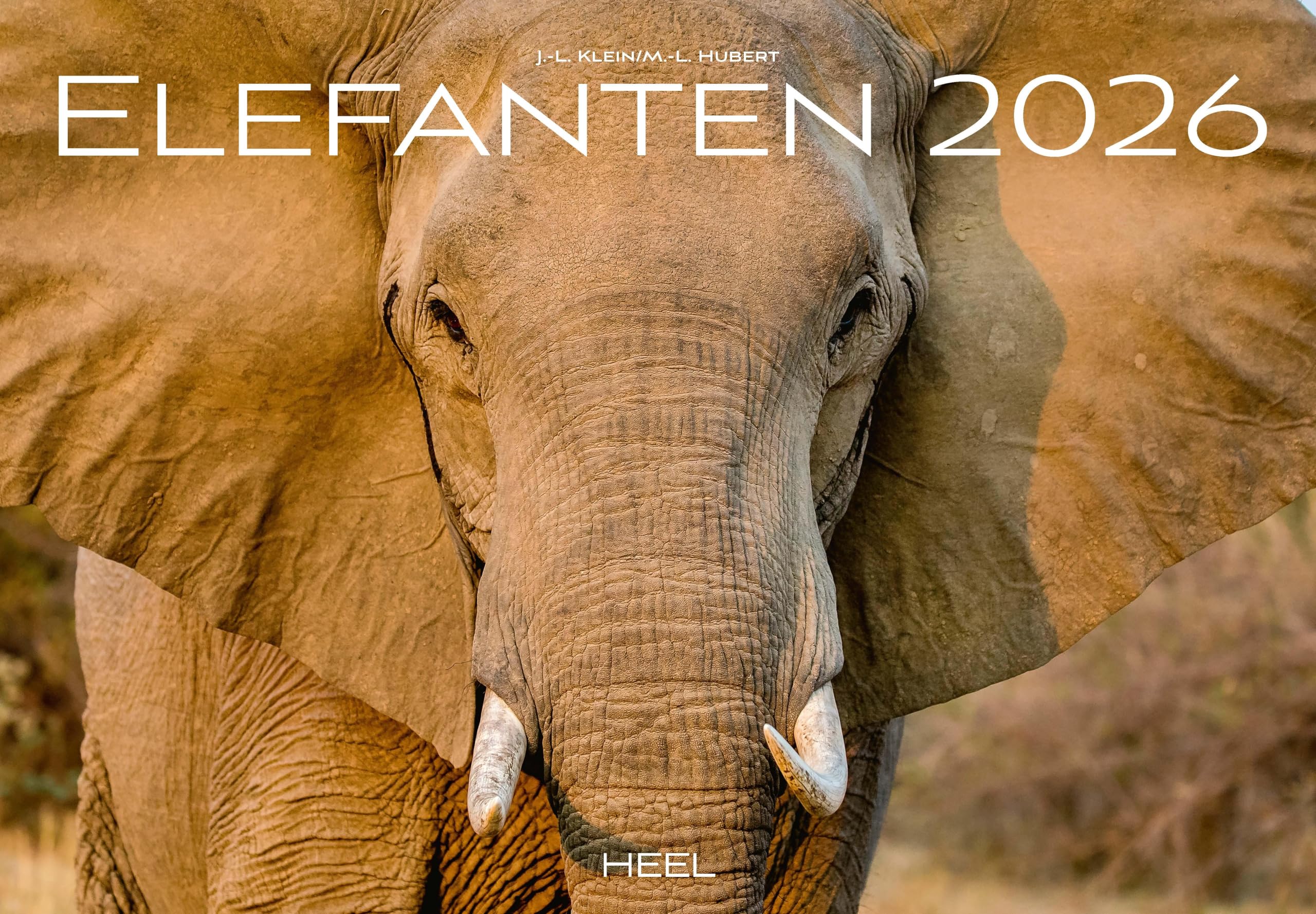 Elefanten Kalender 2026: Einfühlsame Fotografien der sanften Riesen Afrikas Film, Art & Culture