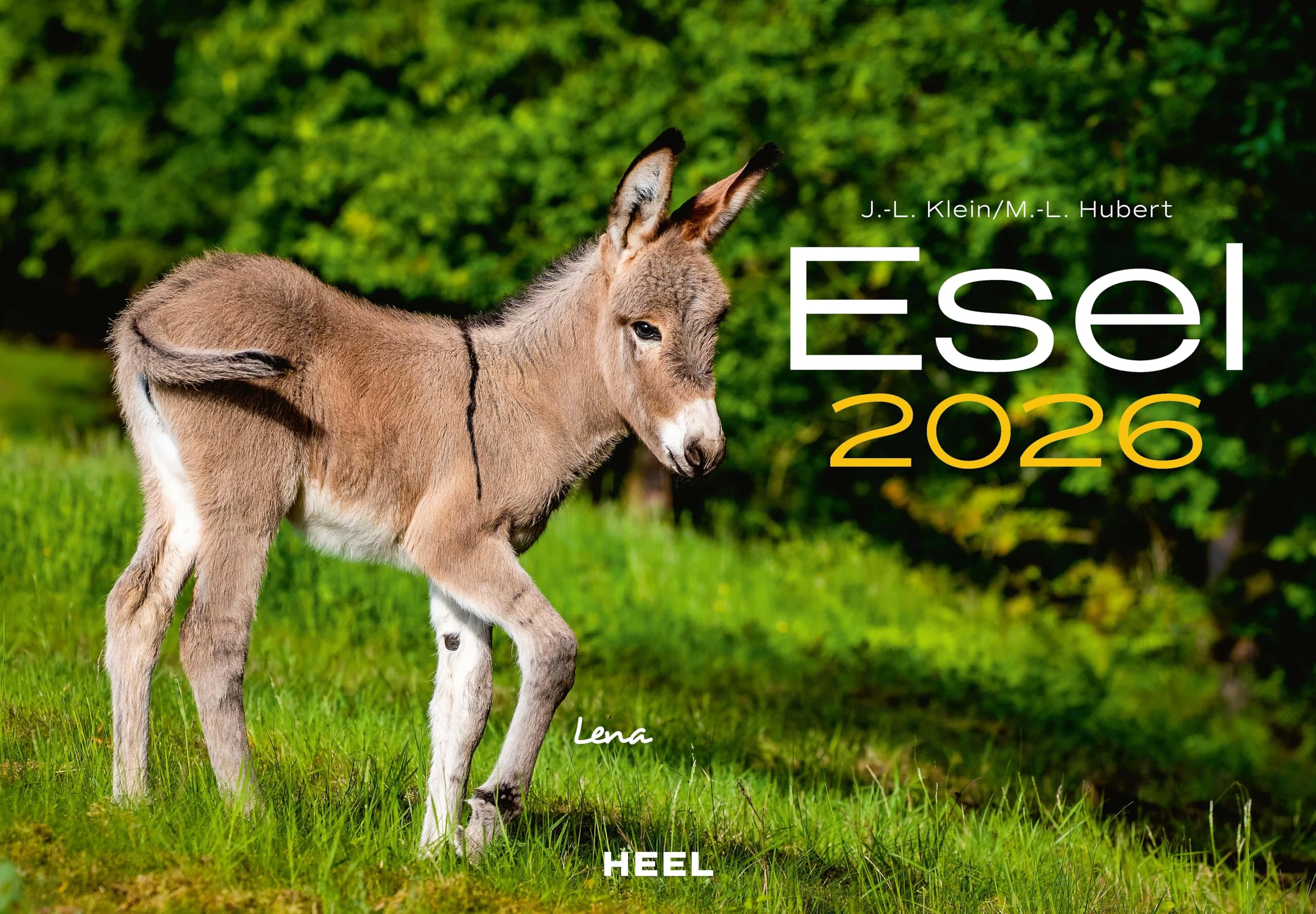 Esel Kalender 2026: Der Tierkalender mit den charmanten Namen Wandkalender Film, Art & Culture