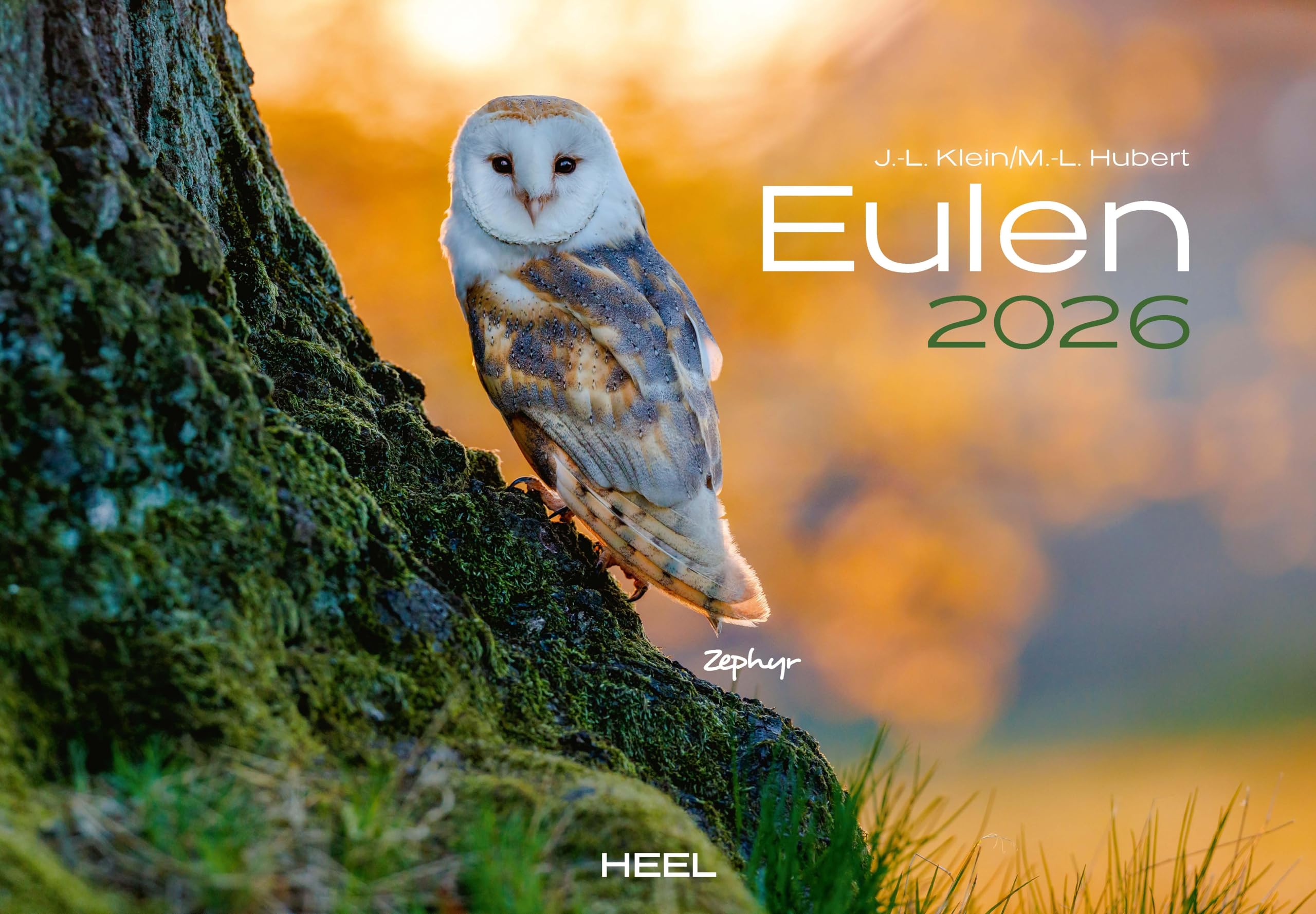 Eulen Kalender 2026: Der Tierkalender mit den charmanten Namen. Wandkalender Vogelkalender Film, Art & Culture
