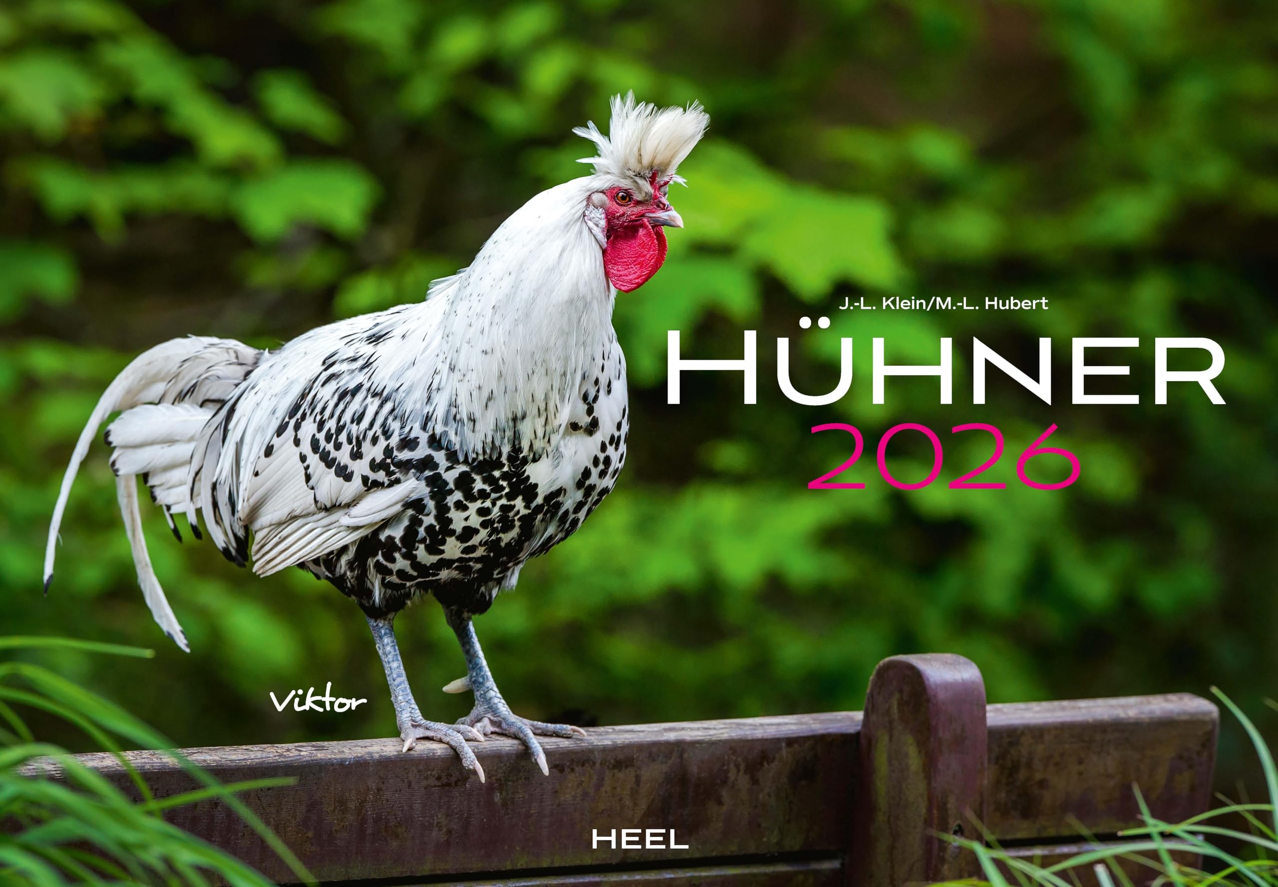 Hühner Kalender 2026: Der Tierkalender mit den charmanten Namen Film, Art & Culture