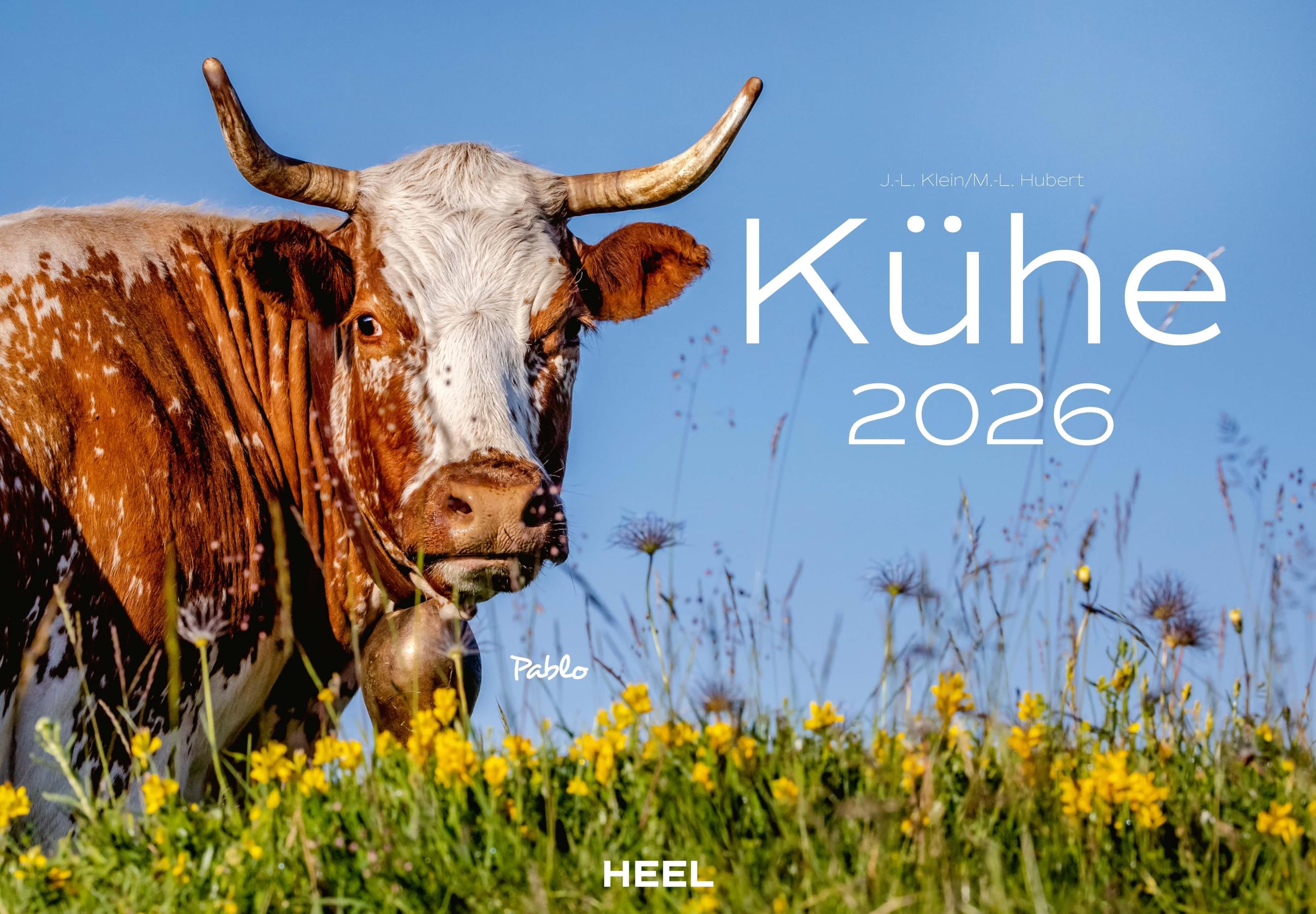 Kühe Kalender 2026 Wandkalender: Der Tierkalender mit den charmanten Namen Film, Art & Culture