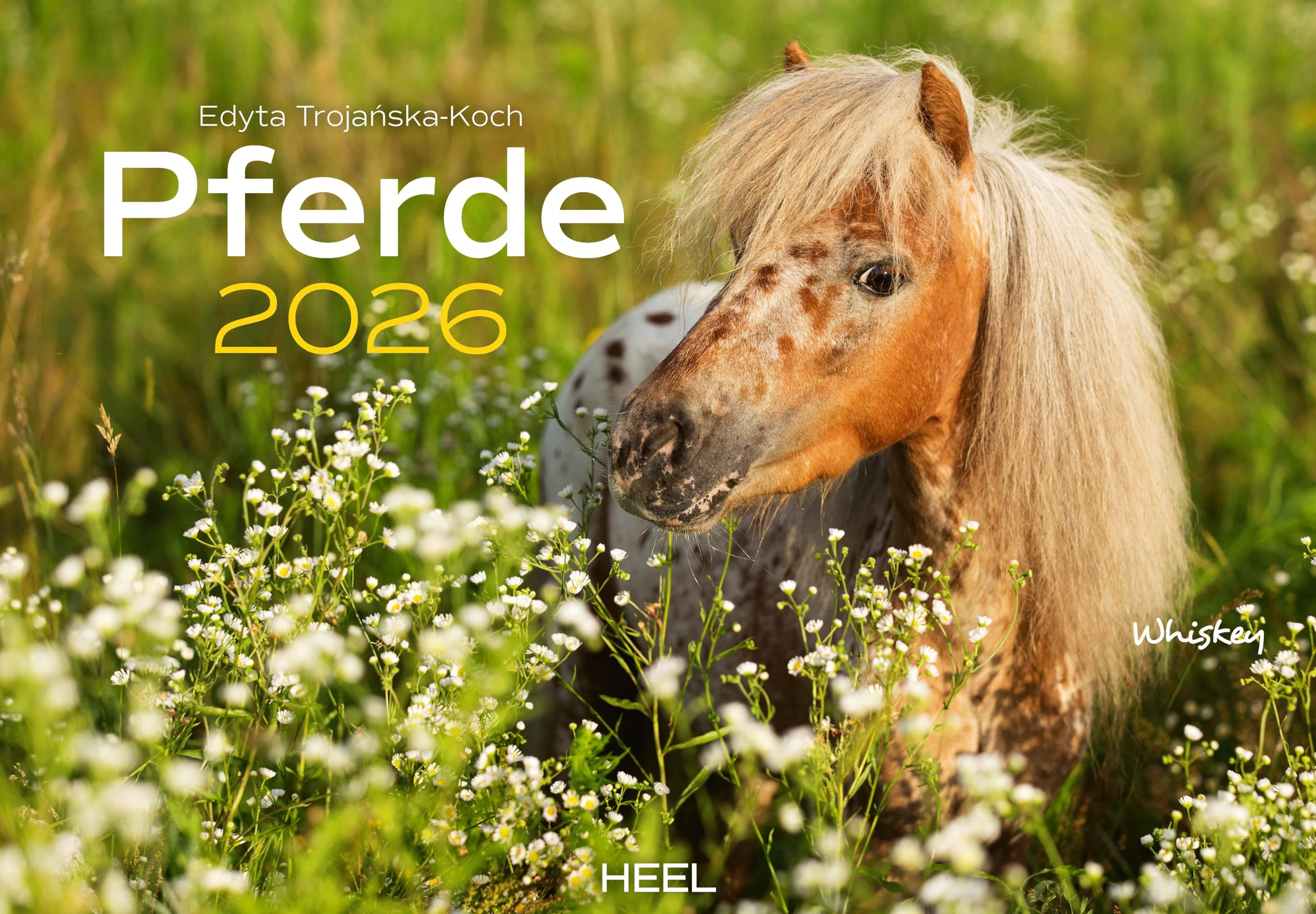 Pferde Kalender 2026 Wandkalender: Der Tierkalender mit den charmanten Namen Pferde Fohlen Stuten Naturkalender Film, Art & Culture