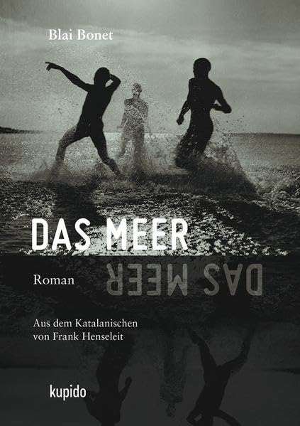 Das Meer: Roman (Iberisches Panorama) LGBTQ+