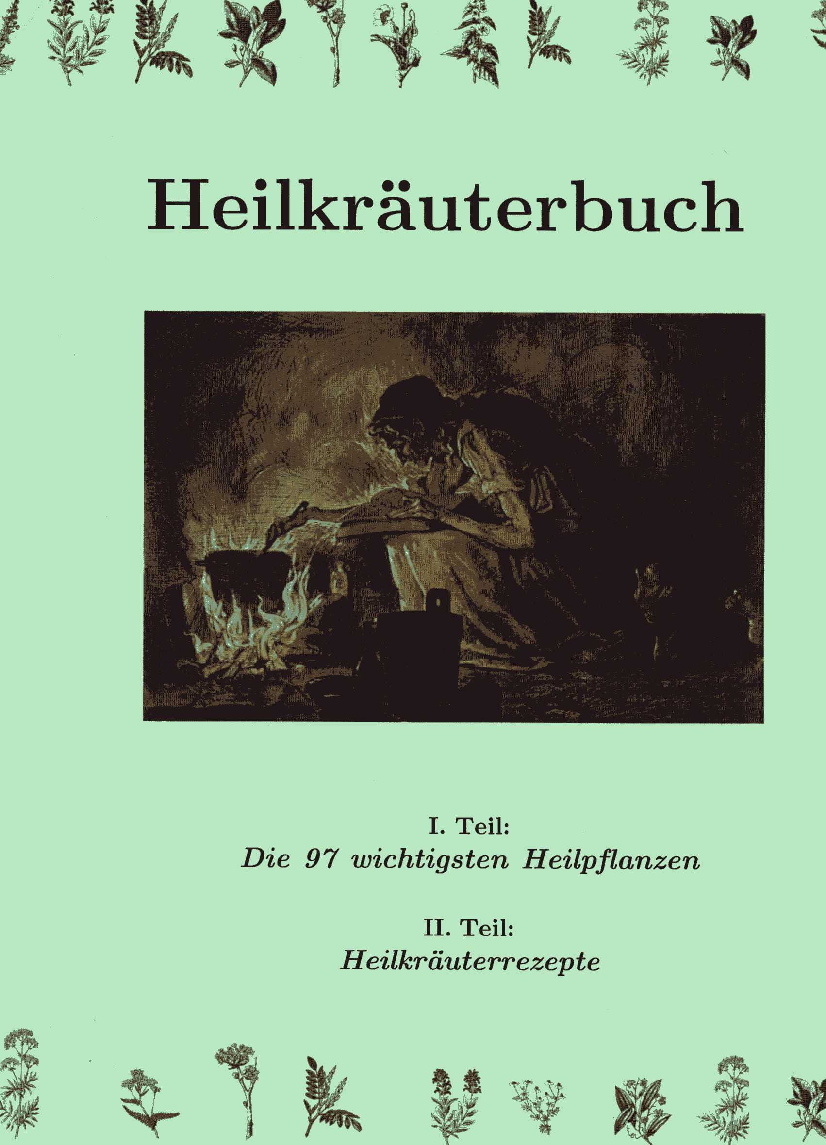 Heilkräuterbuch - I. Teil: Die wichtigsten Heilpflanzen & II. Teil: Heilkräuterrezepte Professional & Reference Books