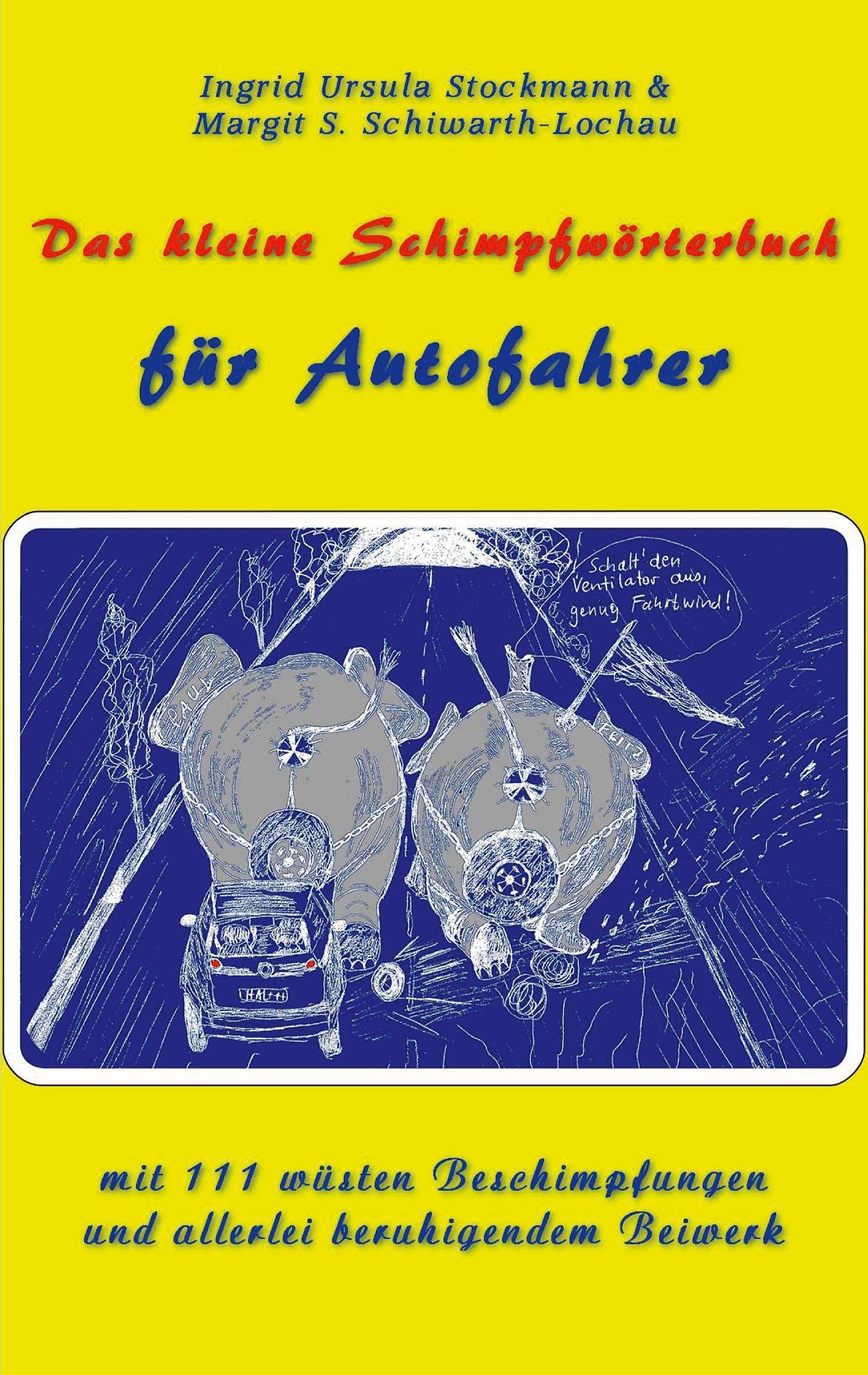 Das kleine Schimpfwörterbuch für Autofahrer: mit 111 wüsten Beschimpfungen und allerlei beruhigendem Beiwerk Humour & Satire