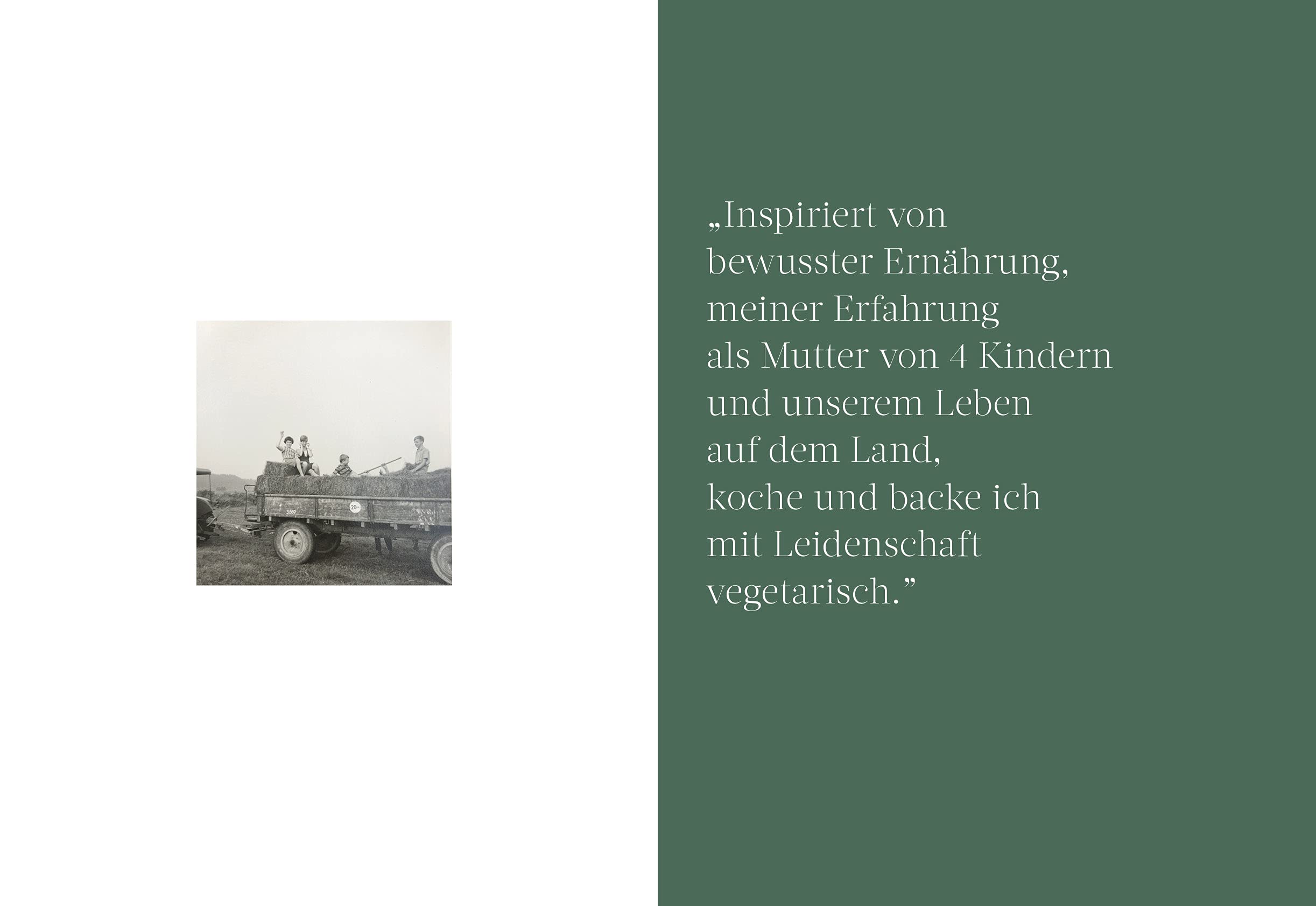 HEIDI KOCHT vegetarisch Leisure, Home & Garden Books