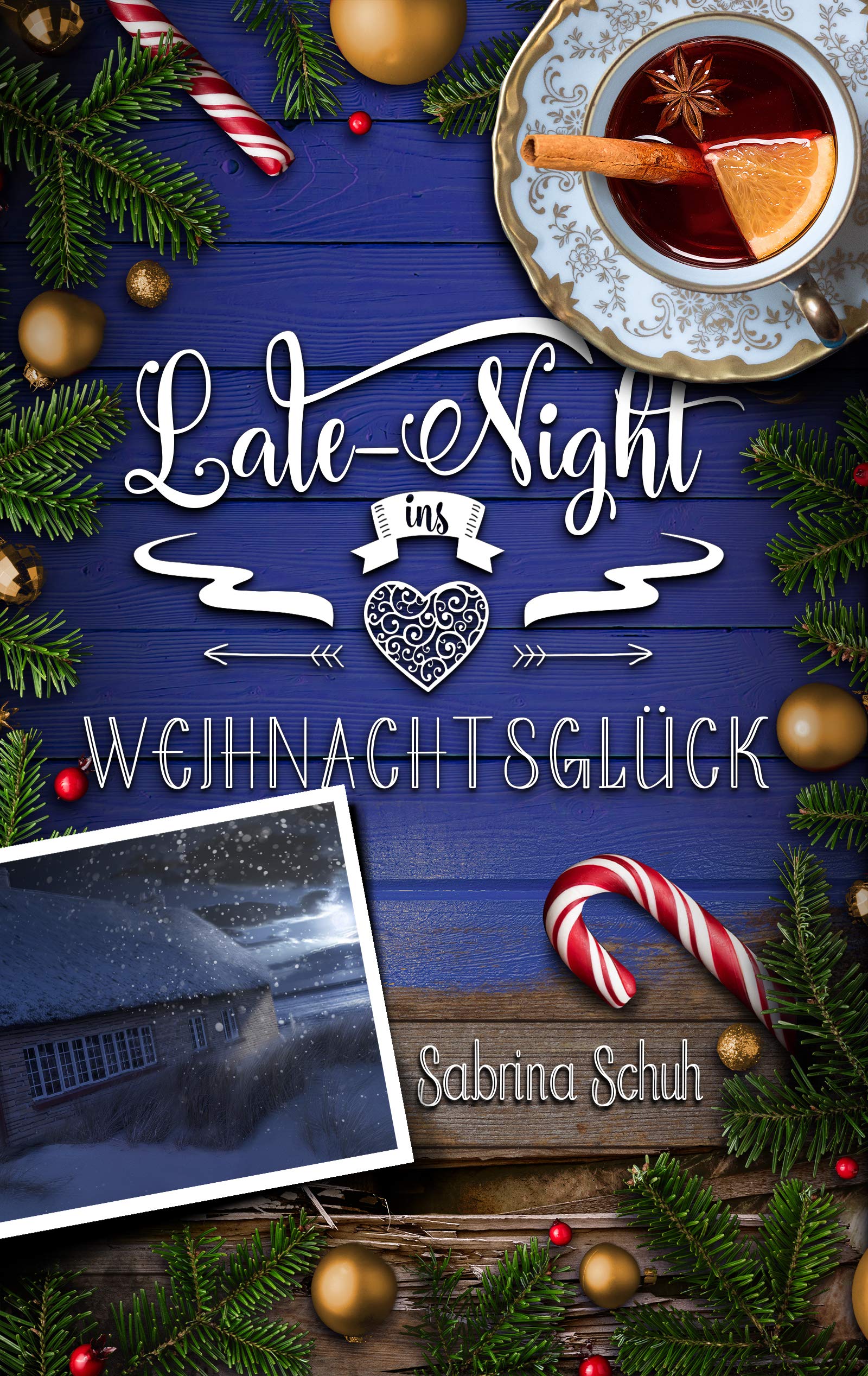 Late-Night ins Weihnachtsglück Contemporary literature
