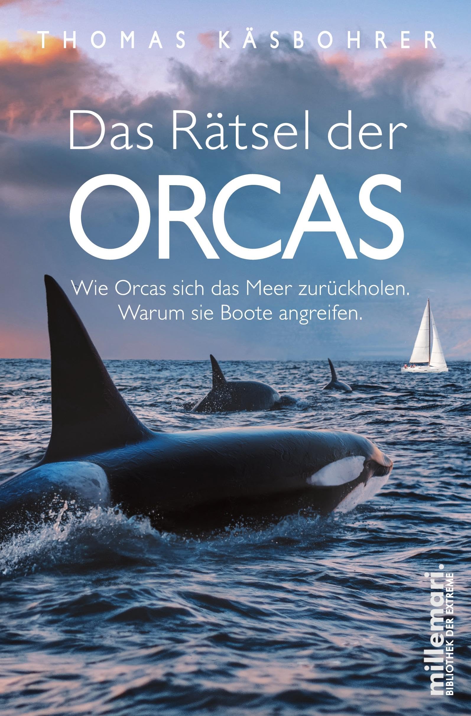Das Rätsel der Orcas Film, Art & Culture