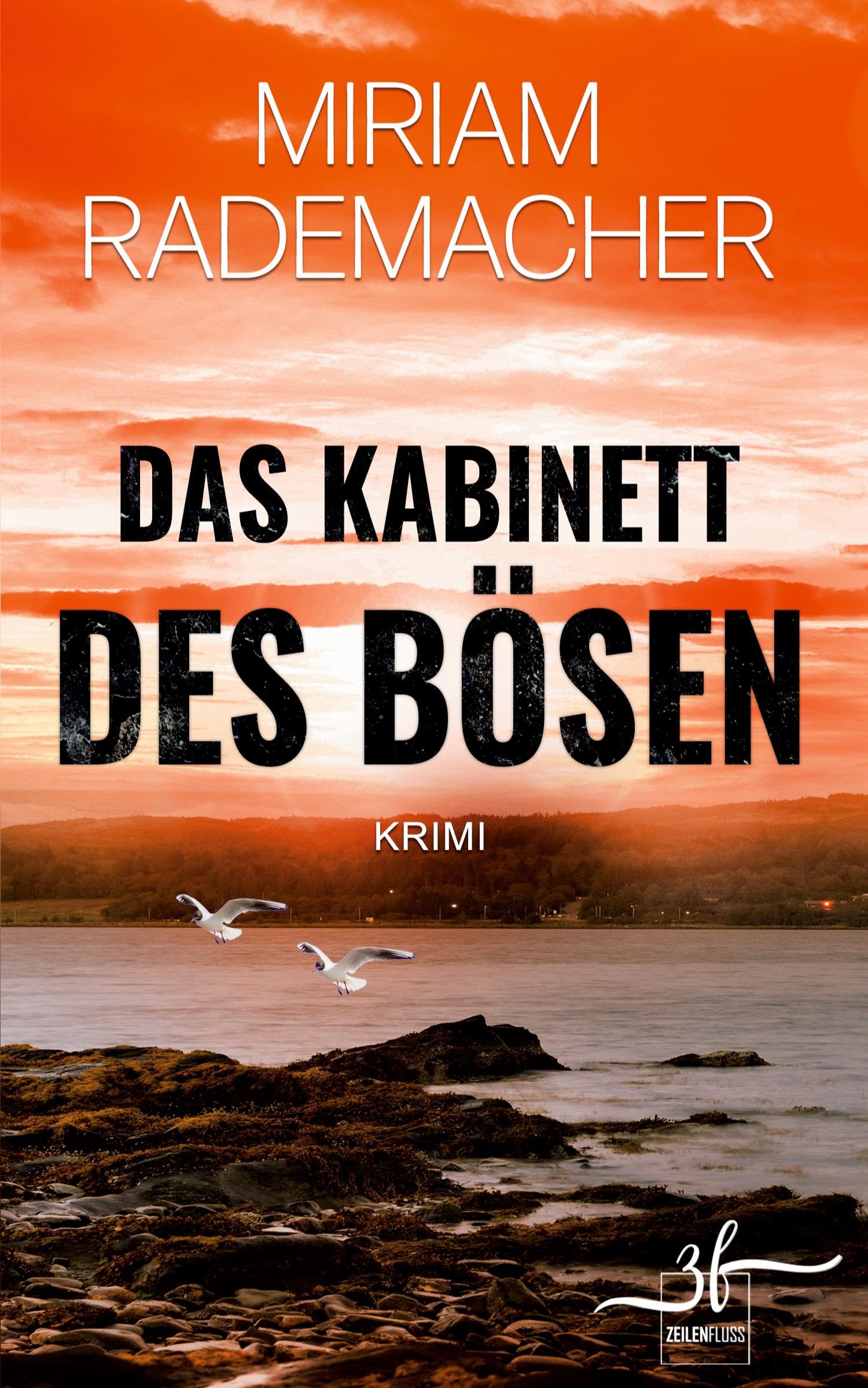 Das Kabinett des Bösen: Ostsee-Krimi (Hedi Voss ermittelt, Band 2) Humour & Satire