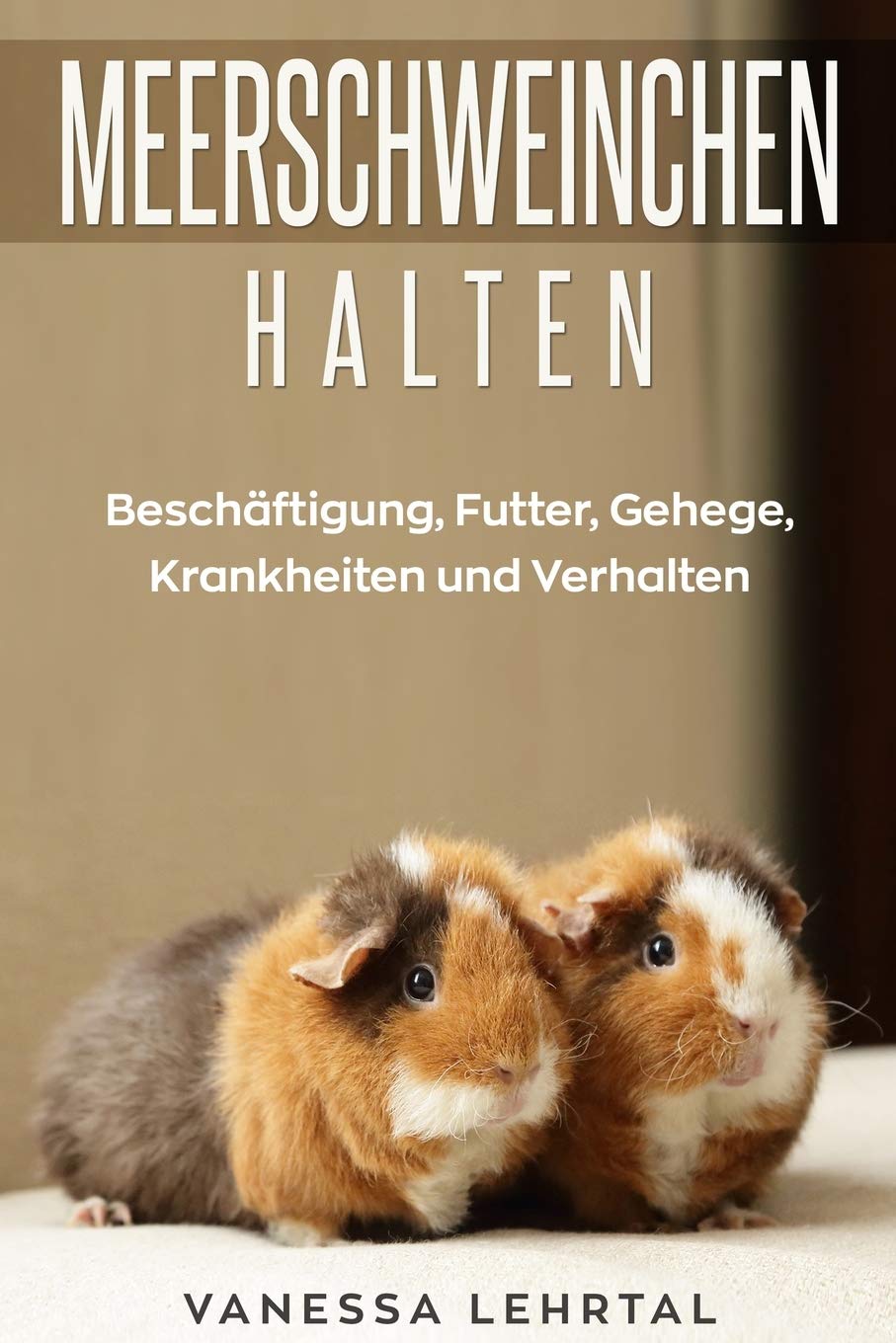 Meerschweinchen halten Pets