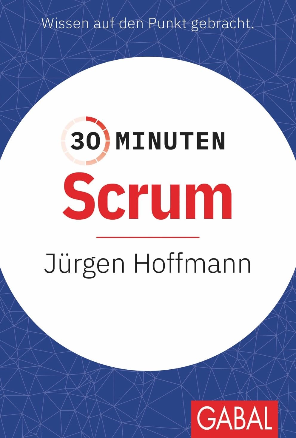 30 Minuten Scrum Law Books
