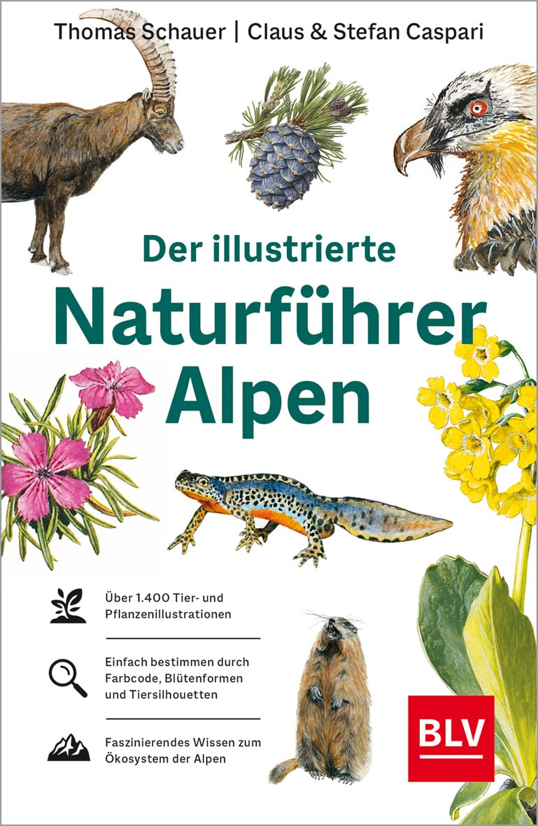 Product Image: Der illustrierte Naturführer Alpen