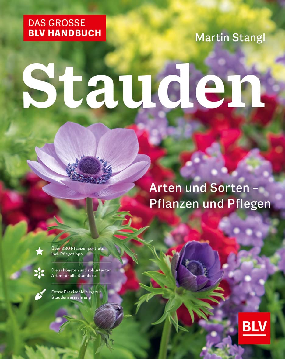 Das BLV Handbuch Stauden Second-hand books on film, art and culture